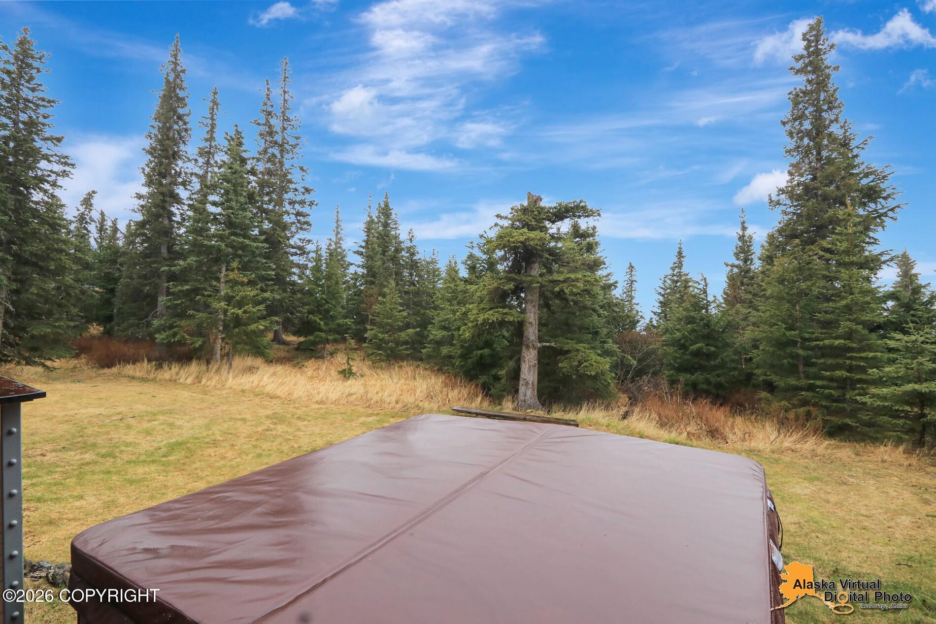 17520 Snow Crest Lane Property Photo 40