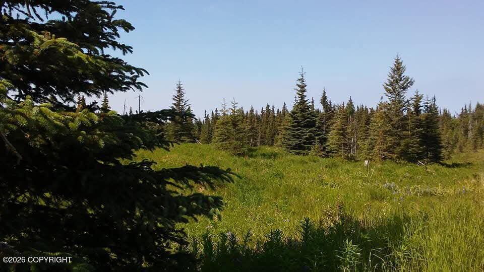 23499 & 23563 Crazy Woman Road Property Photo 1