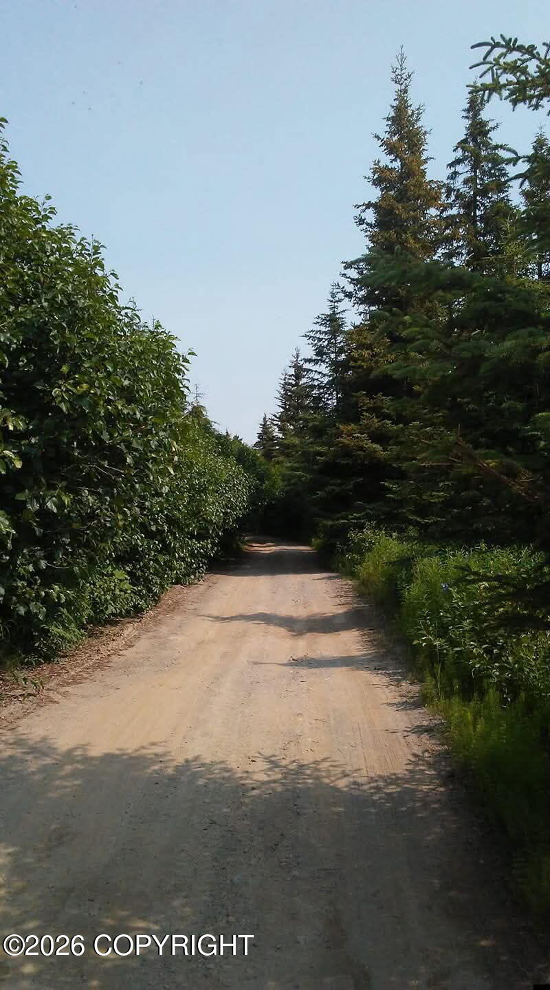 23499 & 23563 Crazy Woman Road Property Photo 2