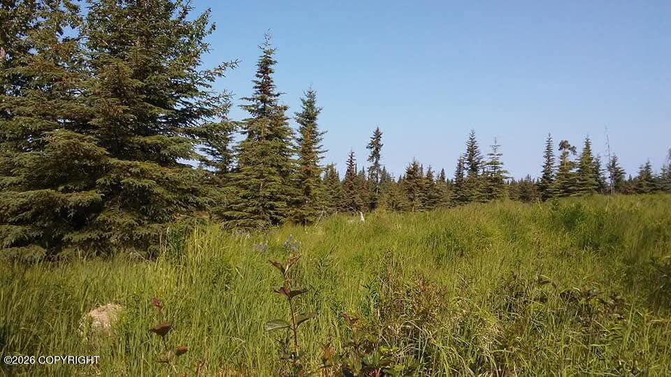 23499 & 23563 Crazy Woman Road Property Photo 3