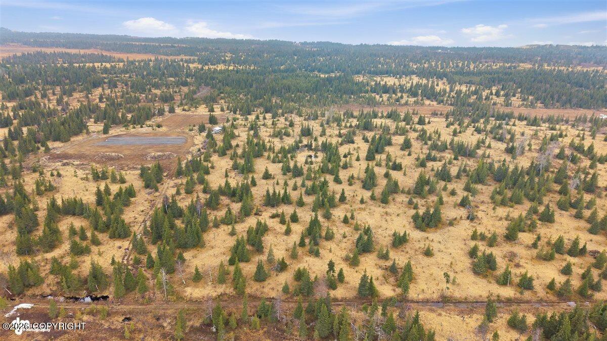 23499 & 23563 Crazy Woman Road Property Photo 6