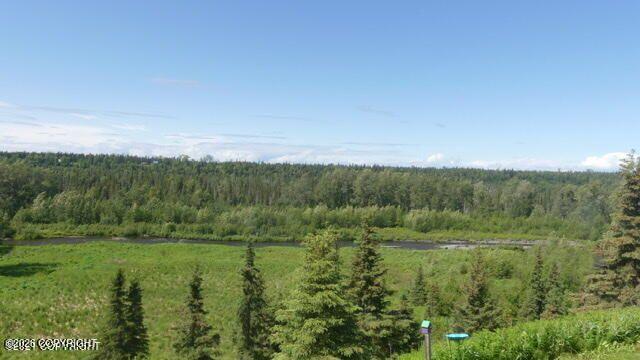17471 Todd Road Property Photo 32