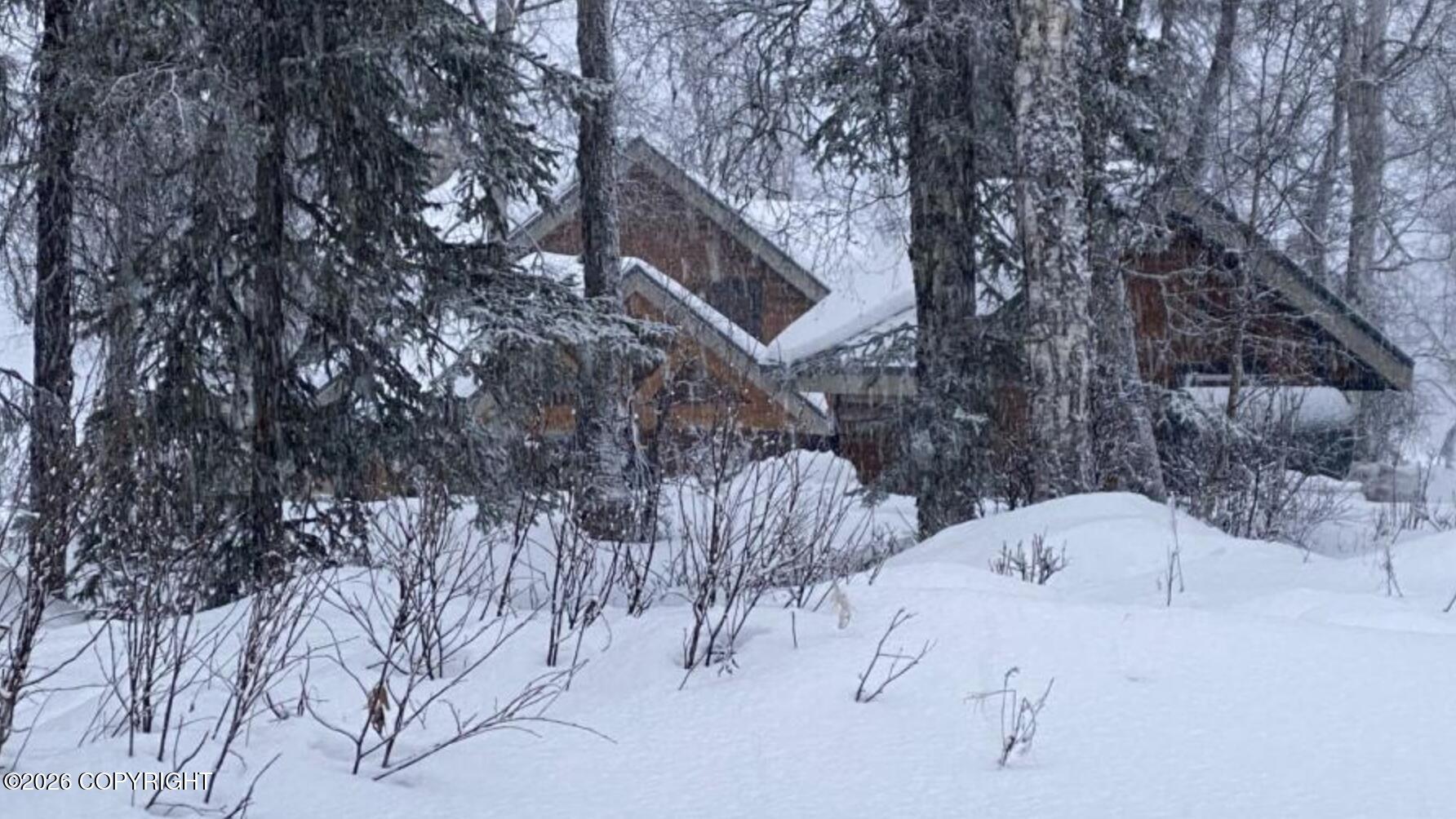 100 N Shulin Lake Property Photo 44