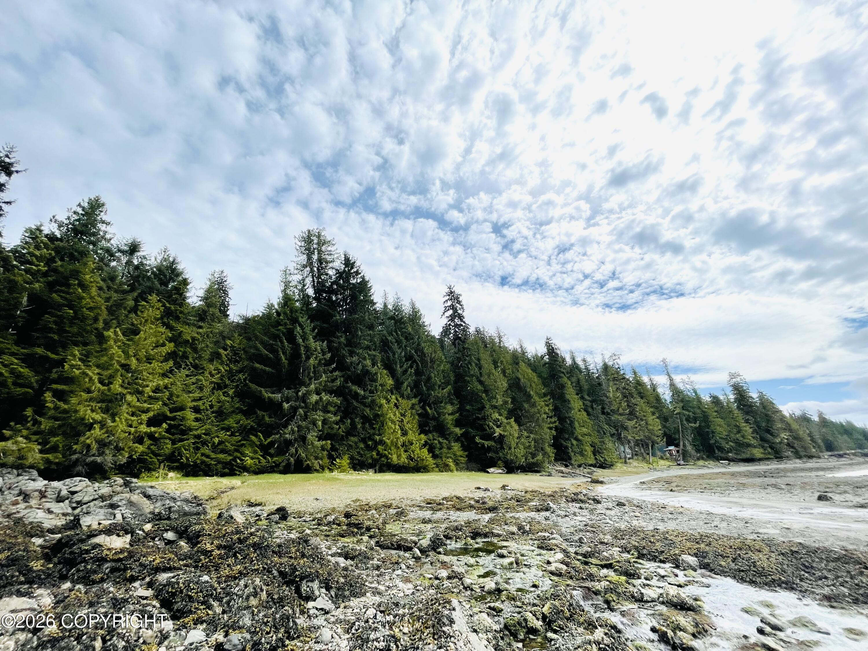 B22 L9 Whale Pass Waterfront Property Photo 5