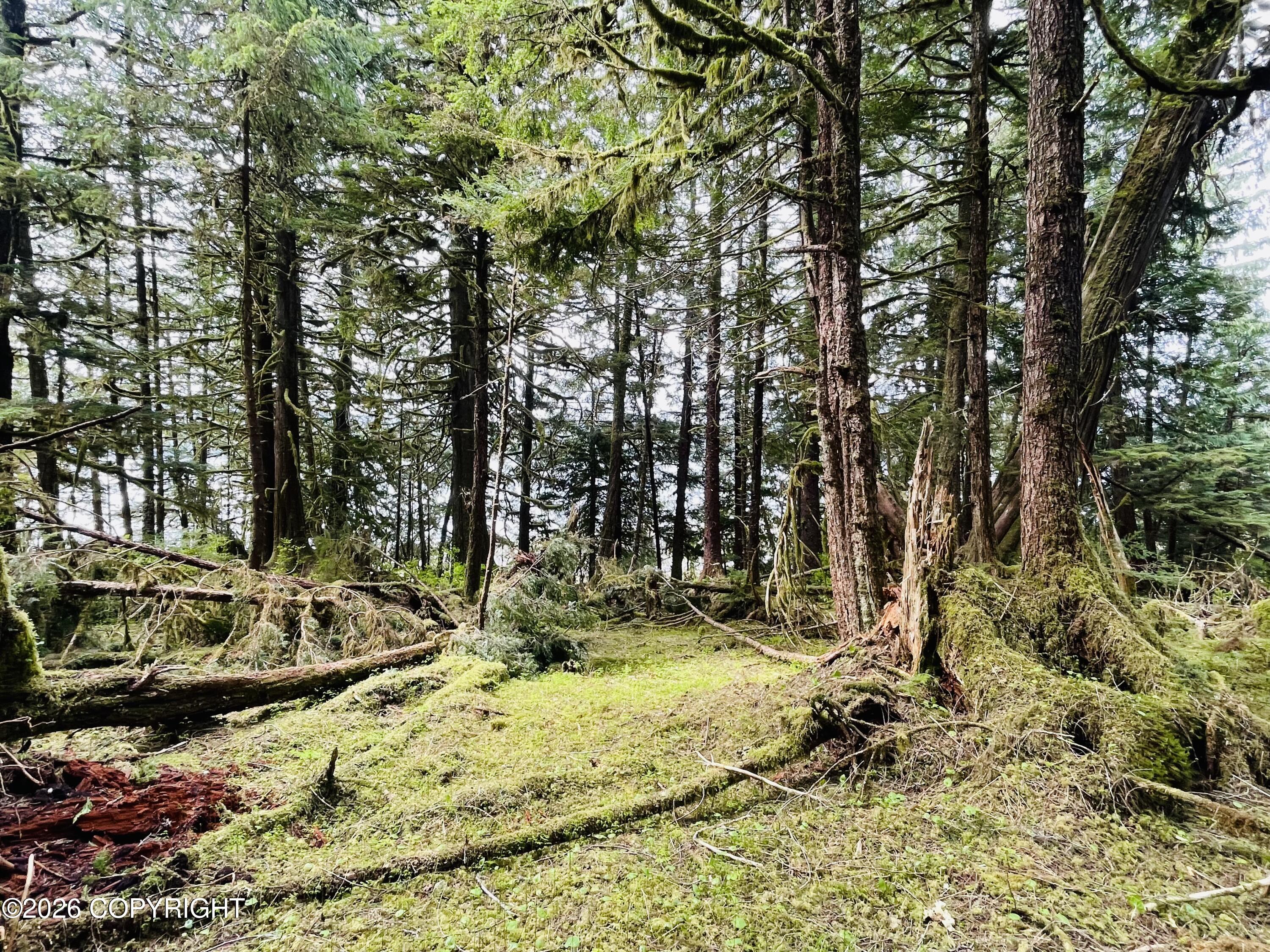 B22 L9 Whale Pass Waterfront Property Photo 10
