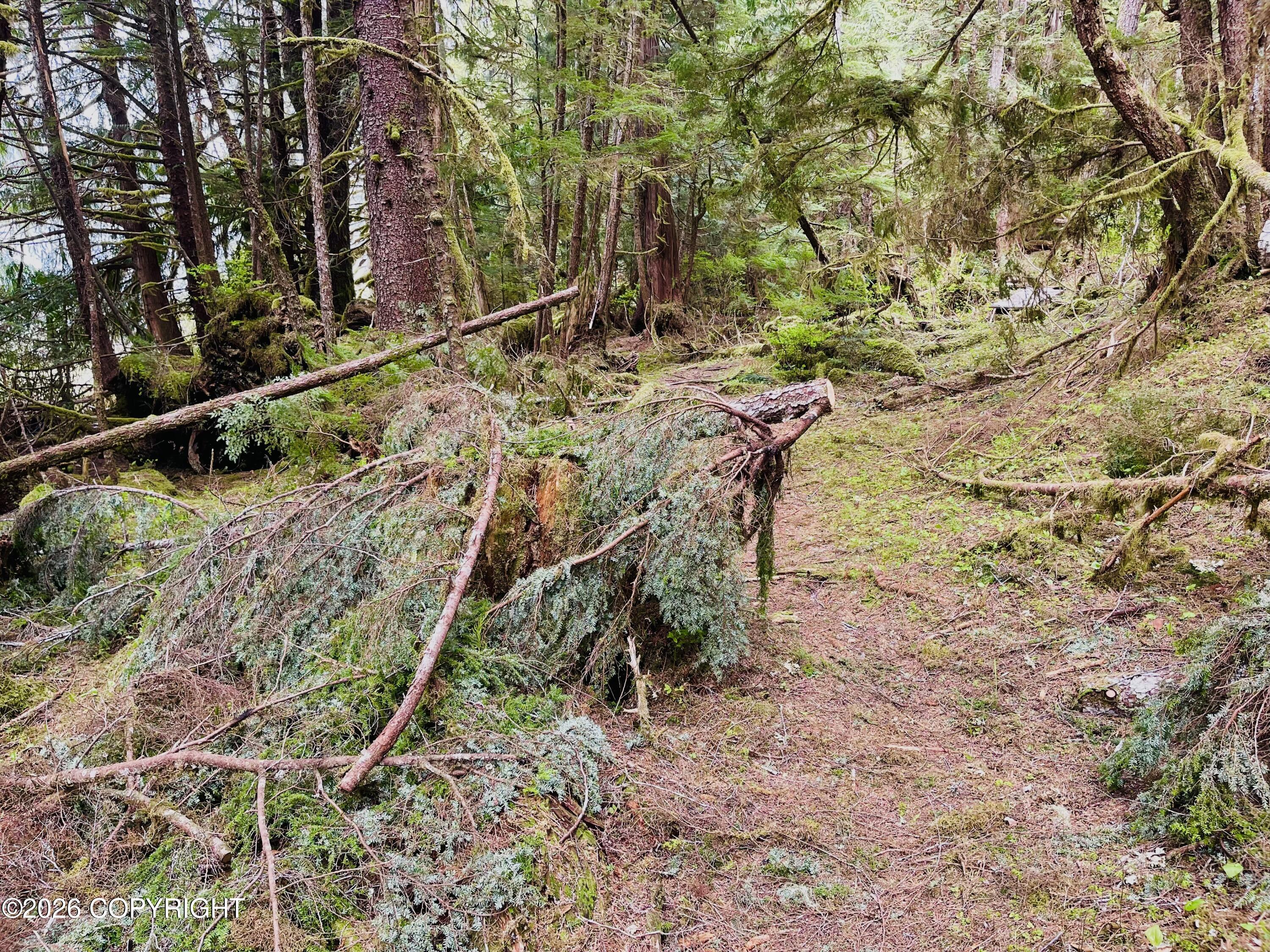 B22 L9 Whale Pass Waterfront Property Photo 11