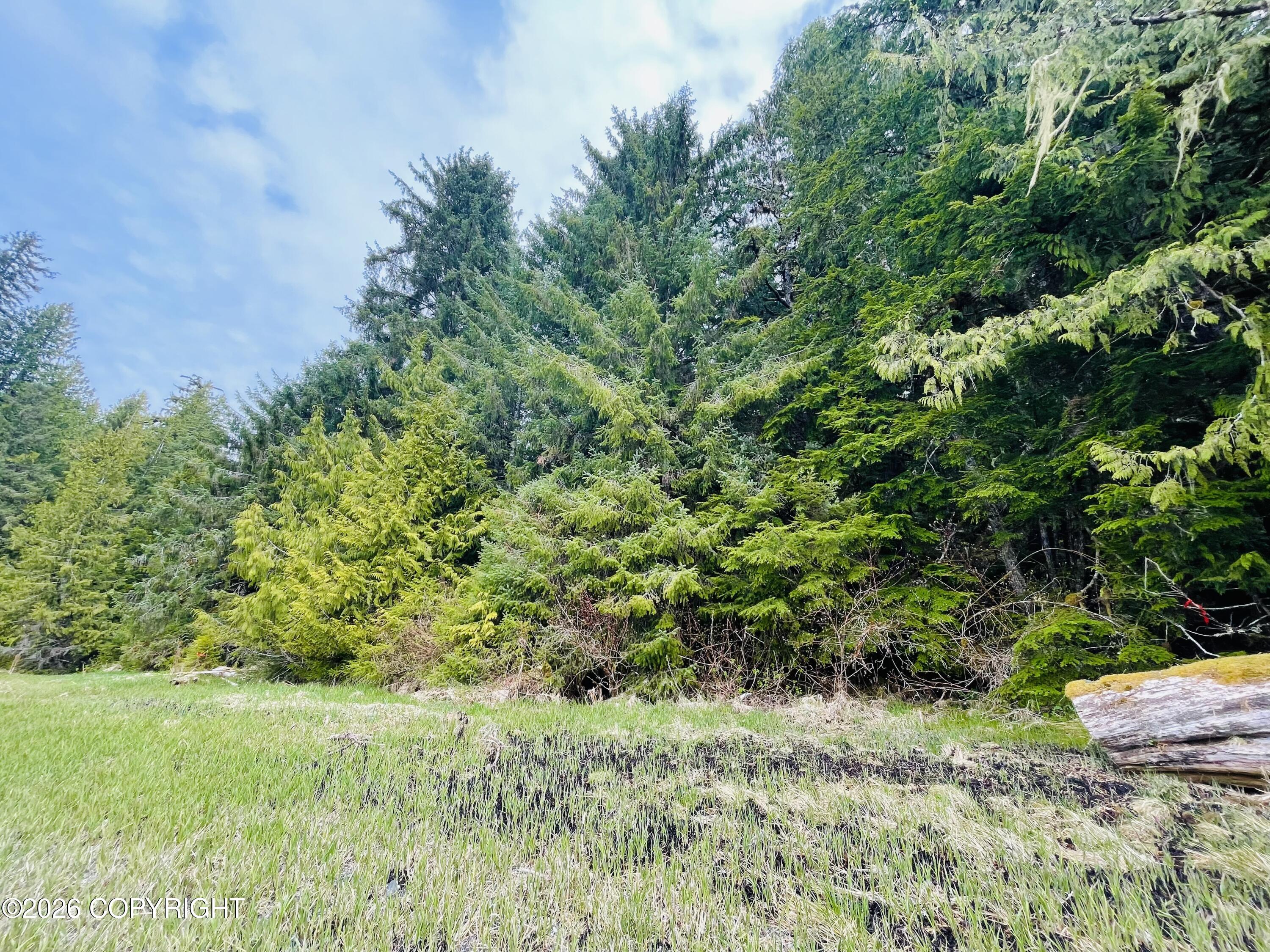 B22 L9 Whale Pass Waterfront Property Photo 13