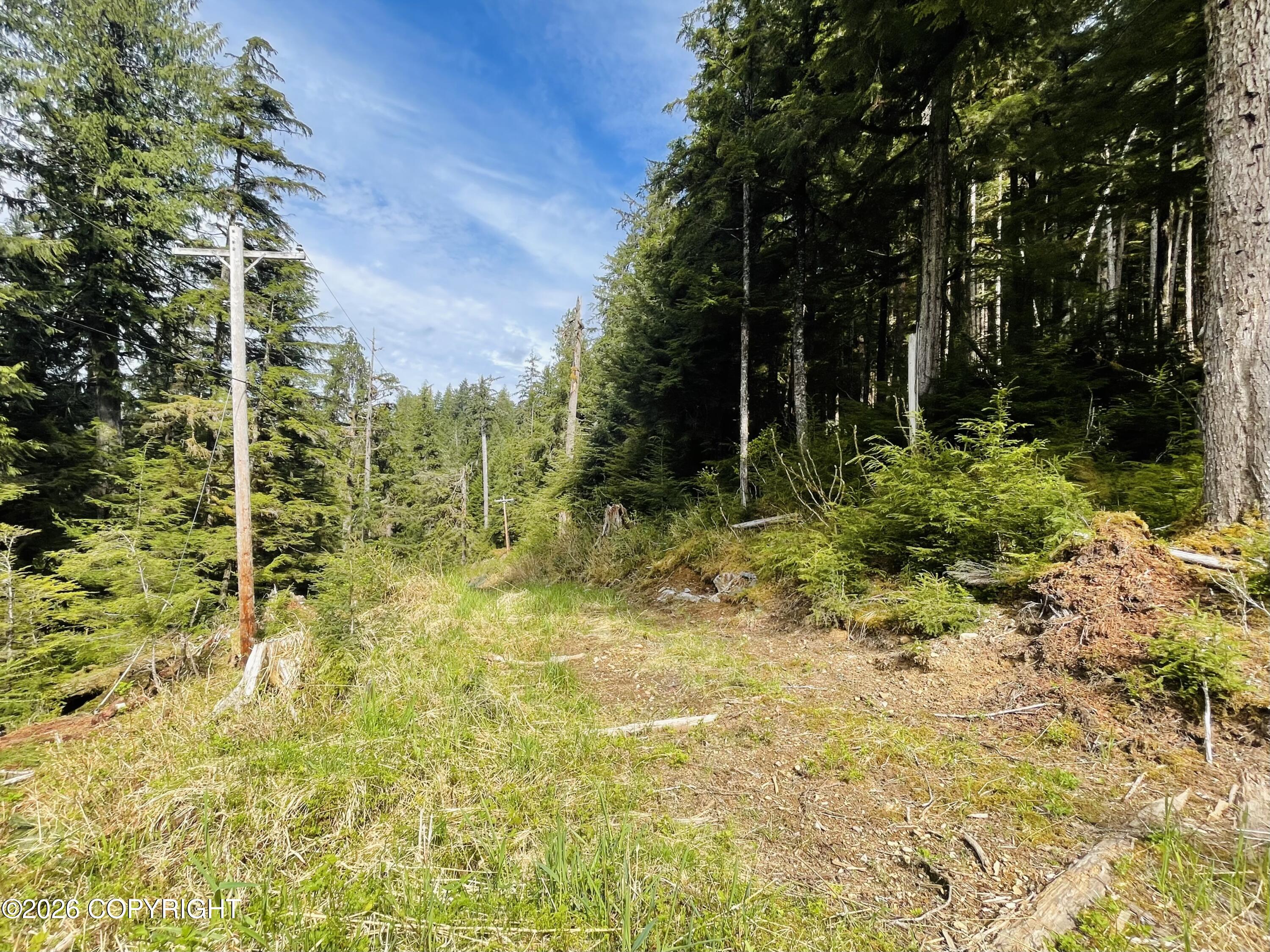 B22 L9 Whale Pass Waterfront Property Photo 15