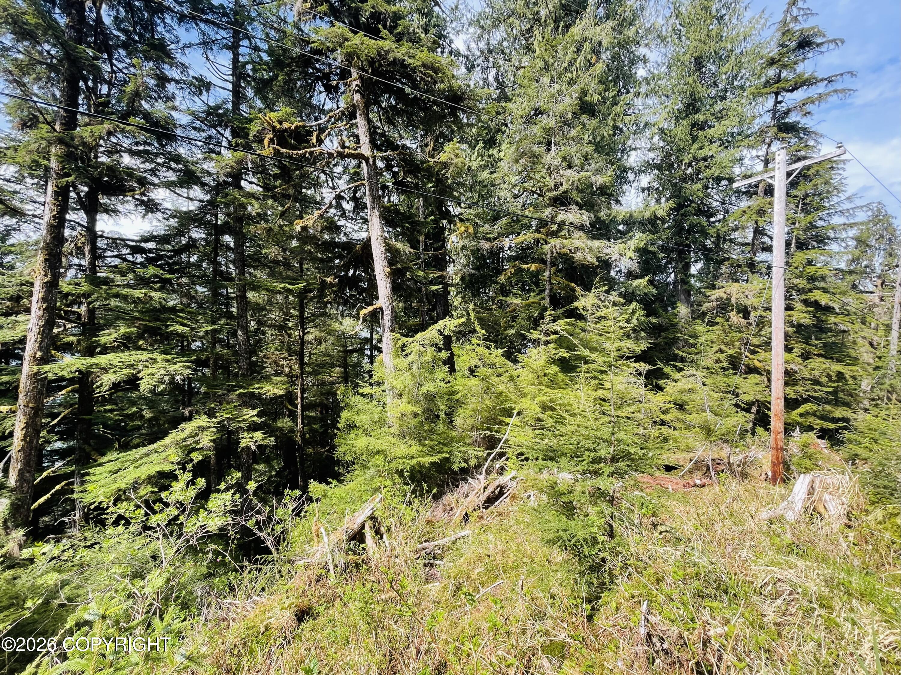 B22 L9 Whale Pass Waterfront Property Photo 16