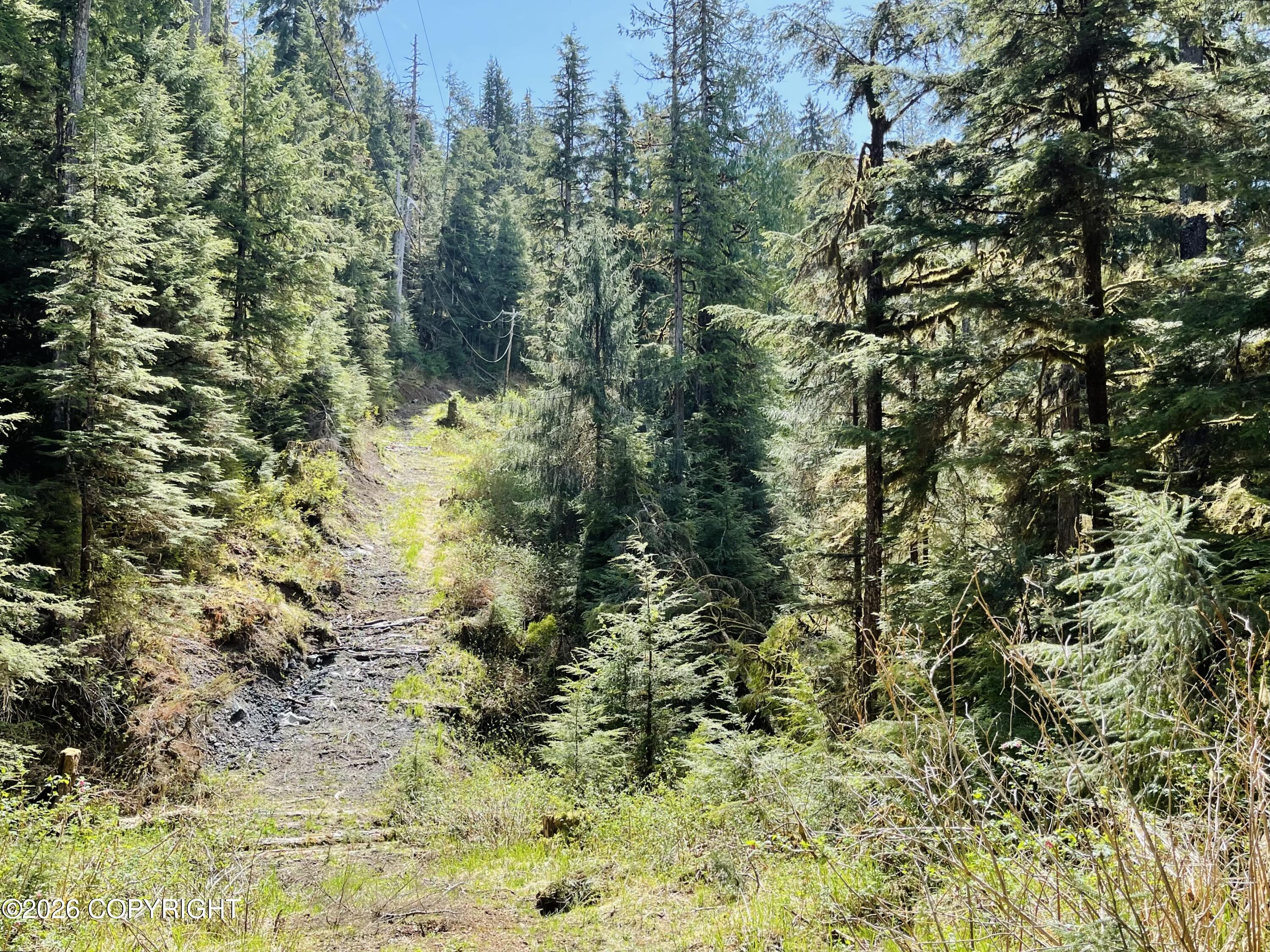 B22 L9 Whale Pass Waterfront Property Photo 17