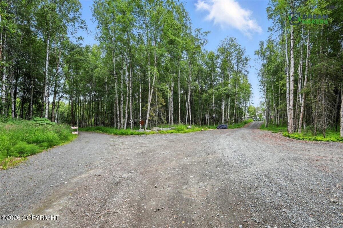 19155 N Nirvana Circle Property Photo 83