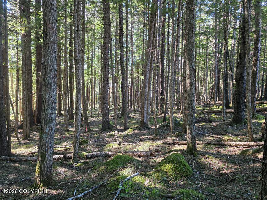Lot 14 Pyramid Drive Property Photo 6