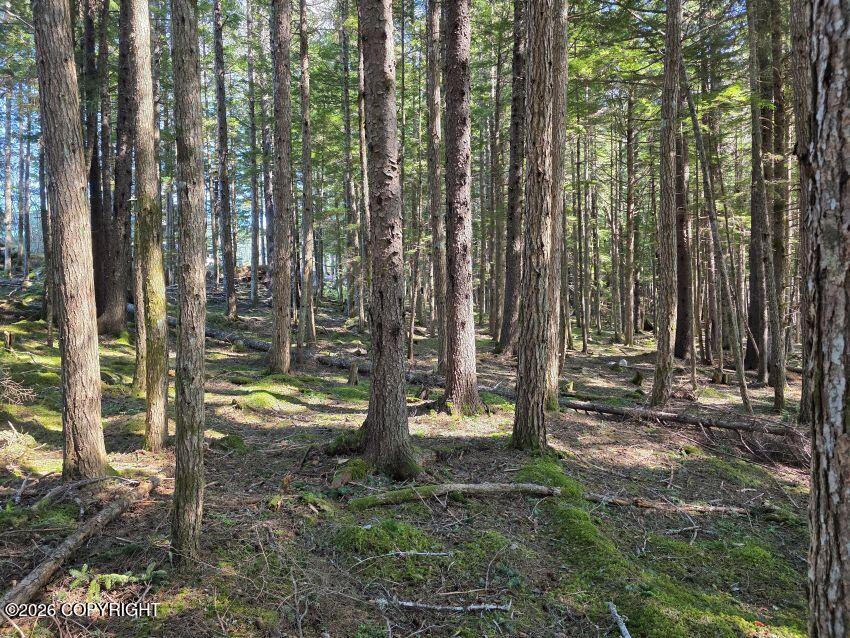 Lot 14 Pyramid Drive Property Photo 7