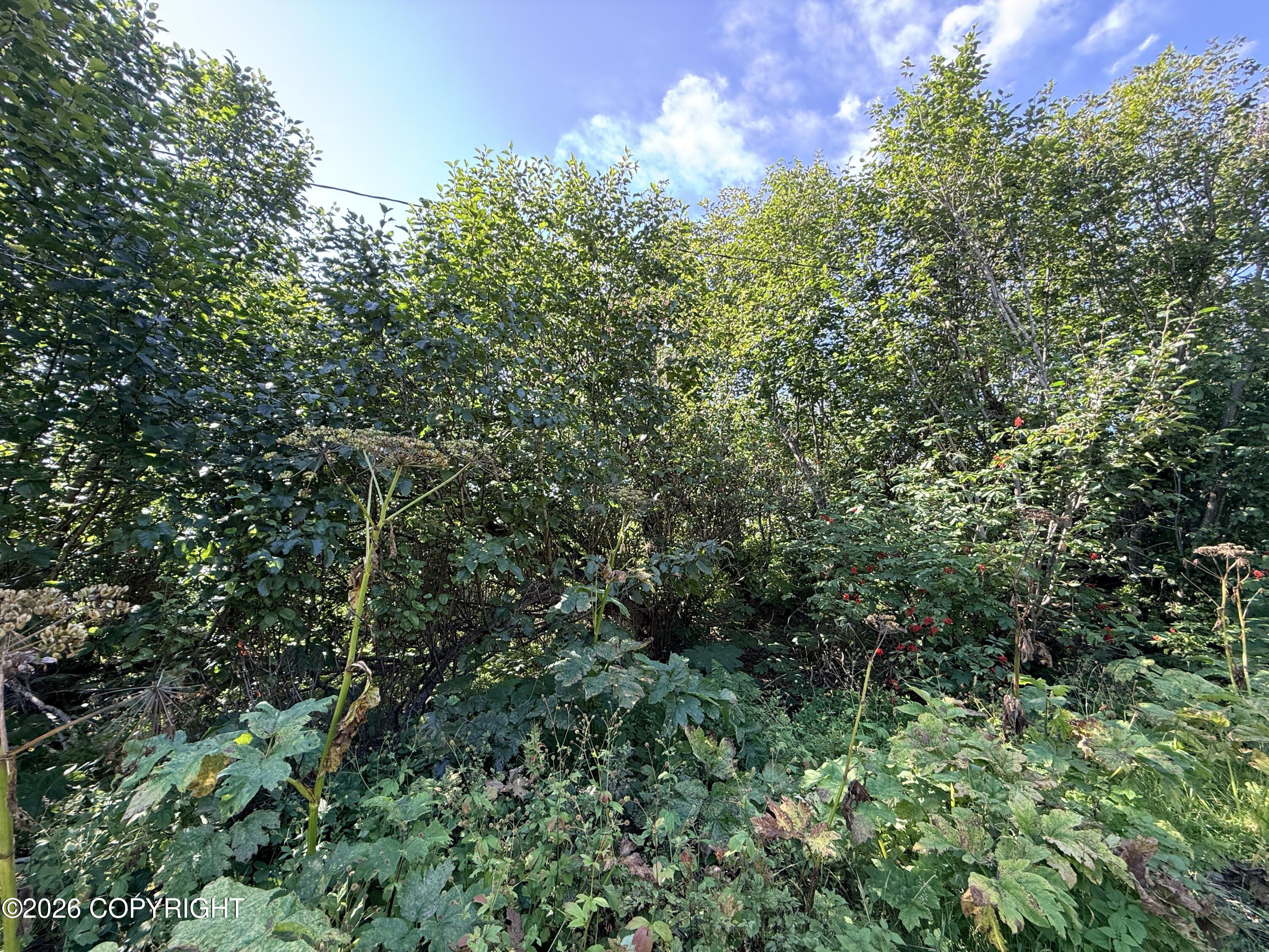 2419 Judy Rebecca Court Property Photo 2