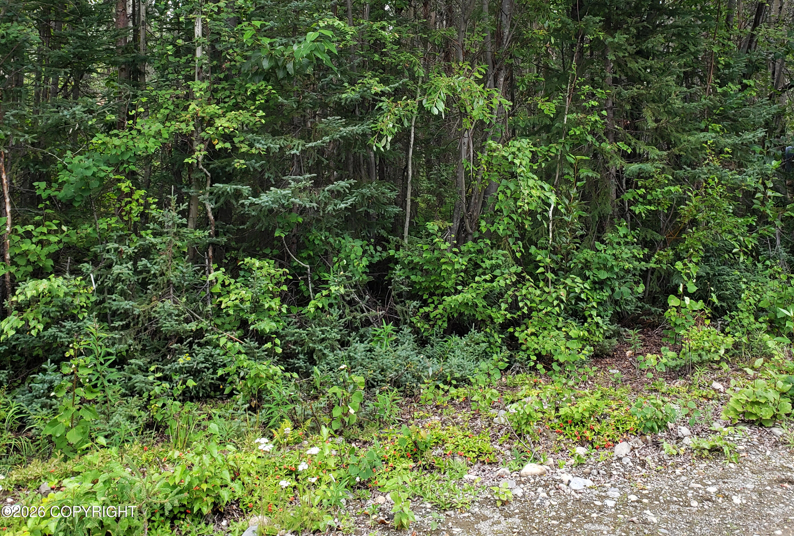 14037 E Mckinley Drive Property Photo 5