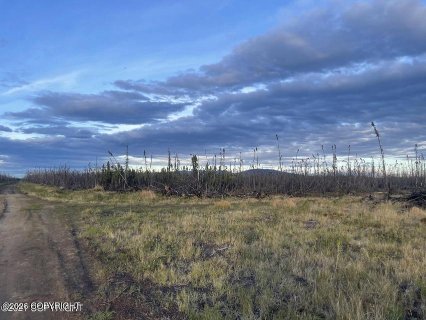 Nhn Lightning Avenue Property Photo 2