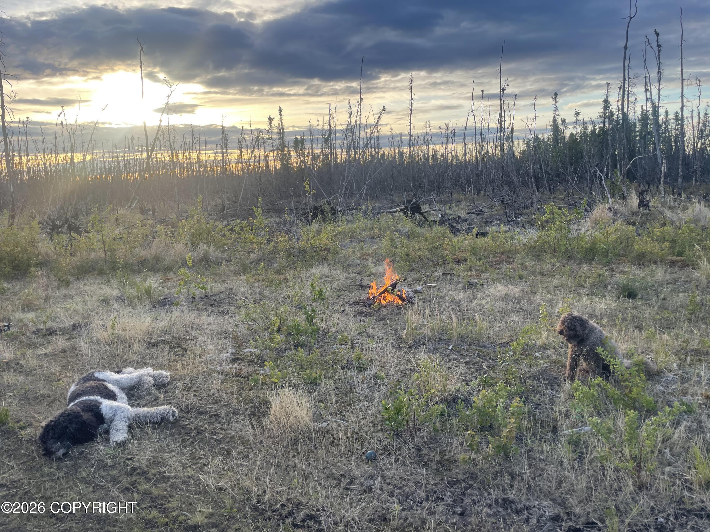 Nhn Lightning Avenue Property Photo 6