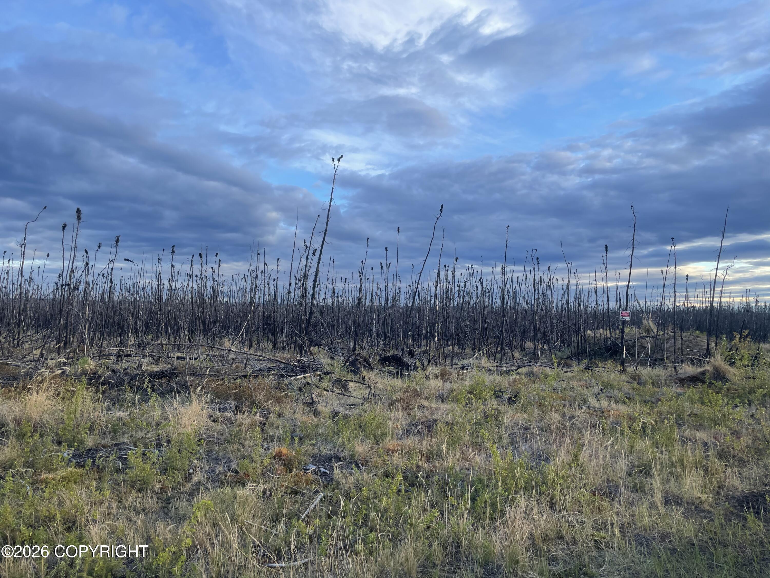 Nhn Lightning Avenue Property Photo 8