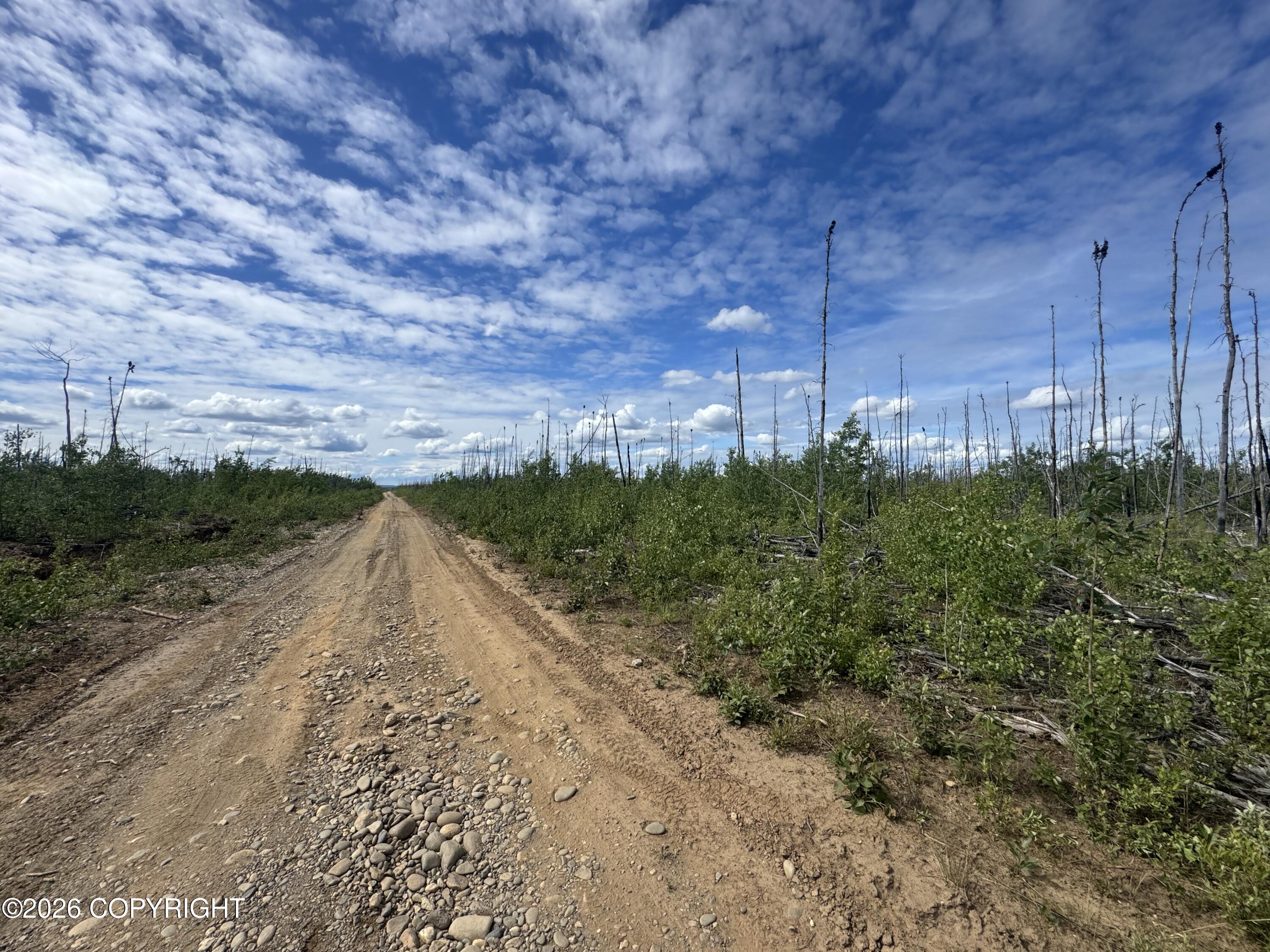 Nhn Lightning Avenue Property Photo 12