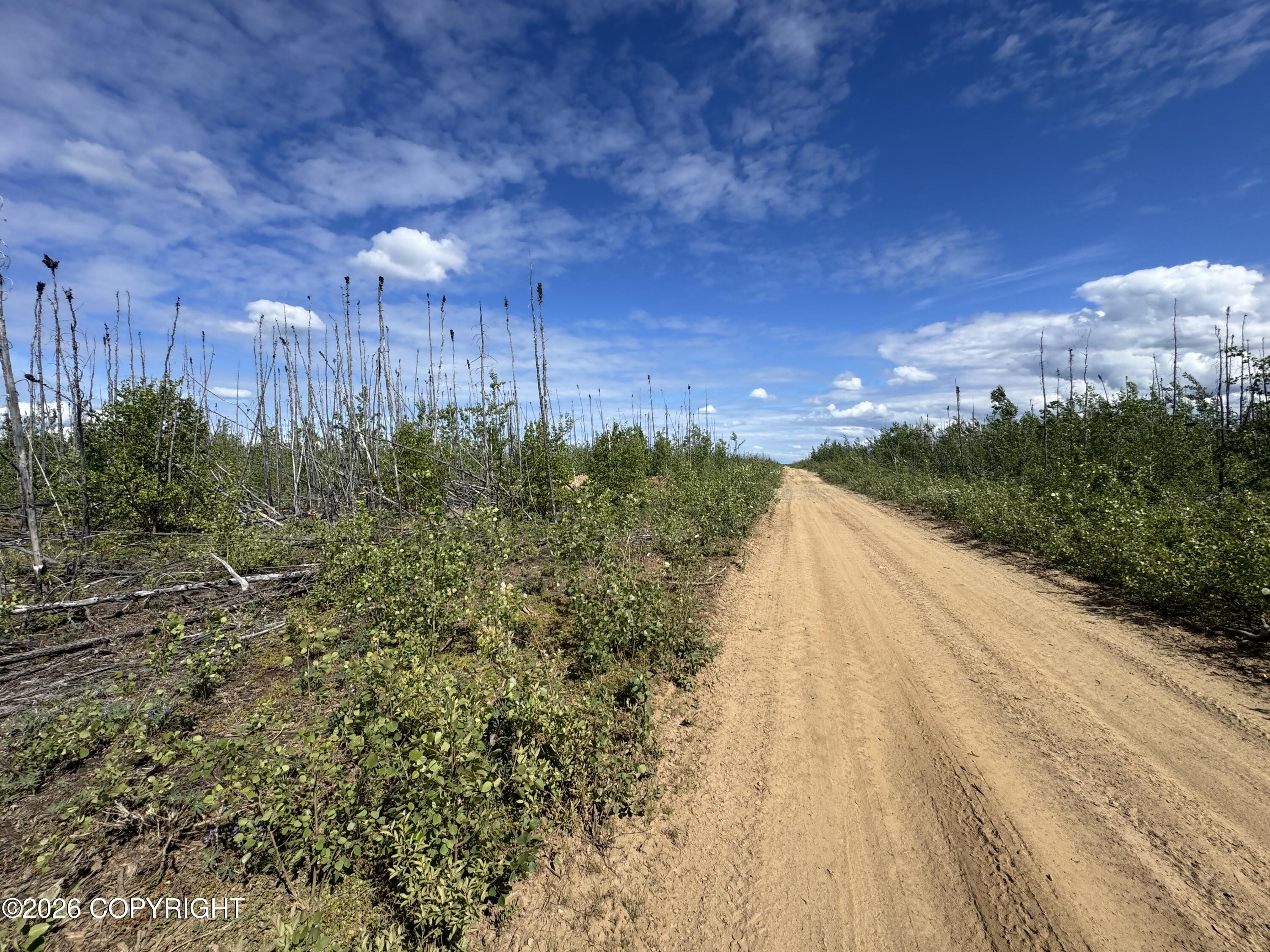 Nhn Lightning Avenue Property Photo 16
