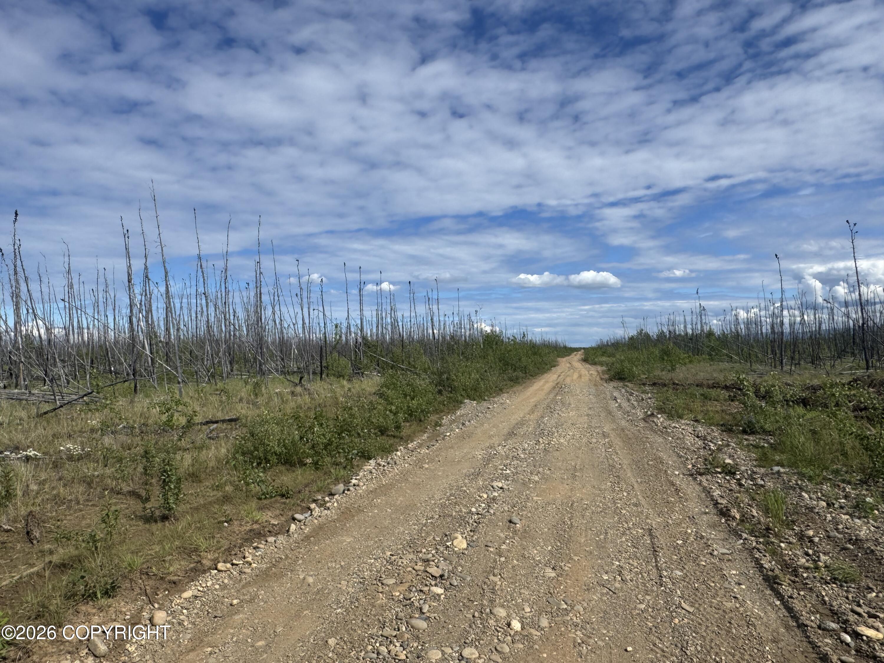 Nhn Lightning Avenue Property Photo 17