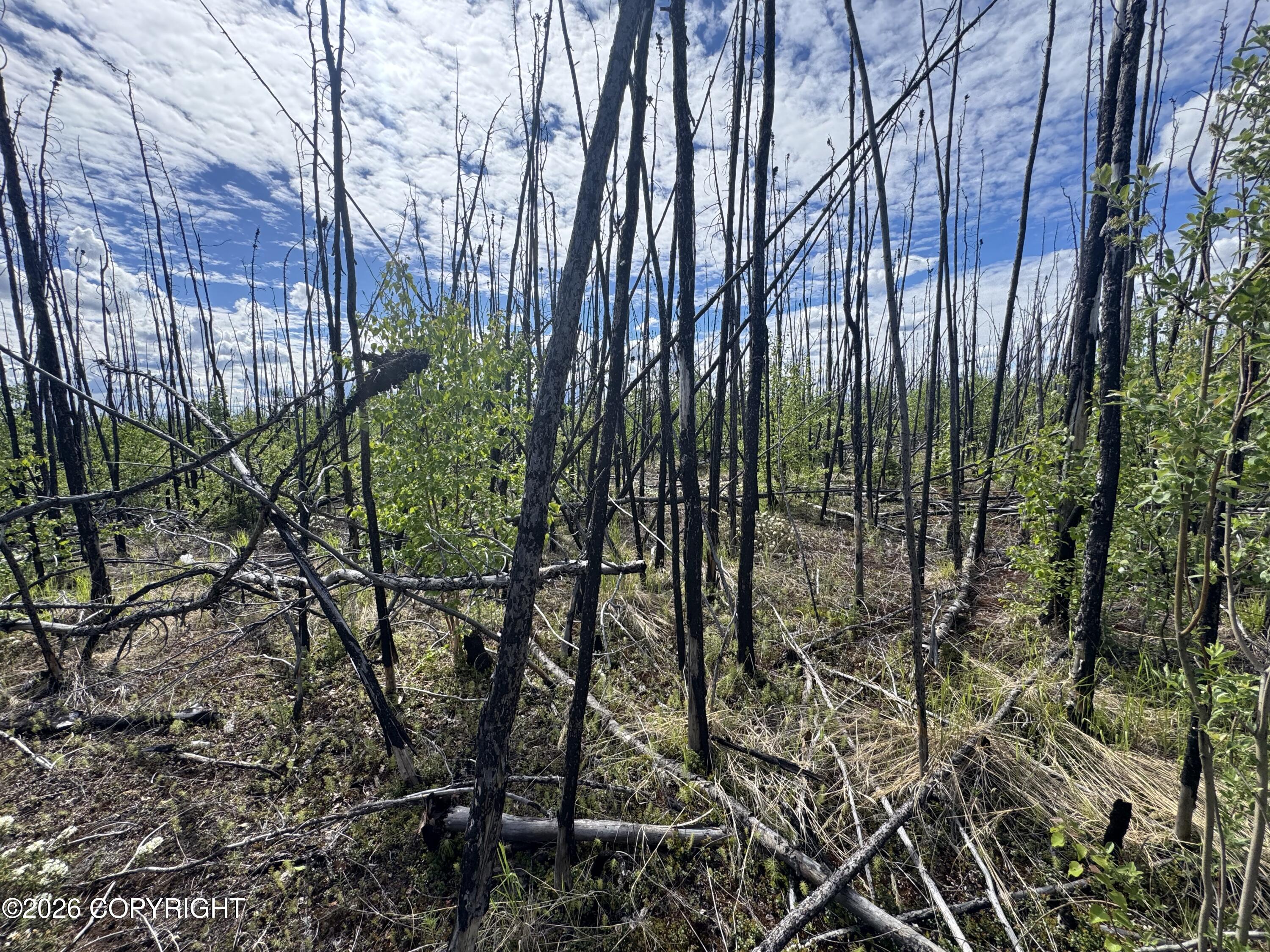 Nhn Lightning Avenue Property Photo 18