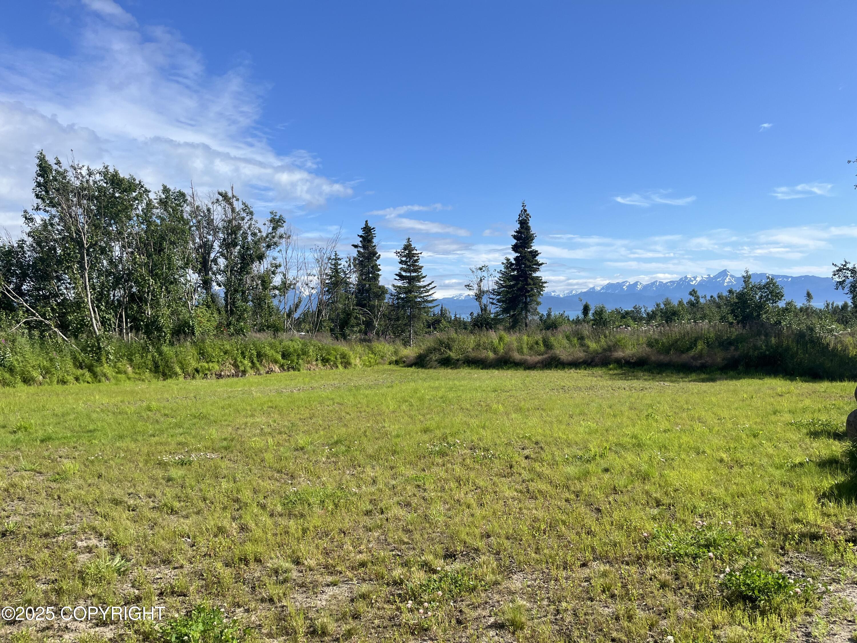 38834 Triple Crown Road Property Photo 4