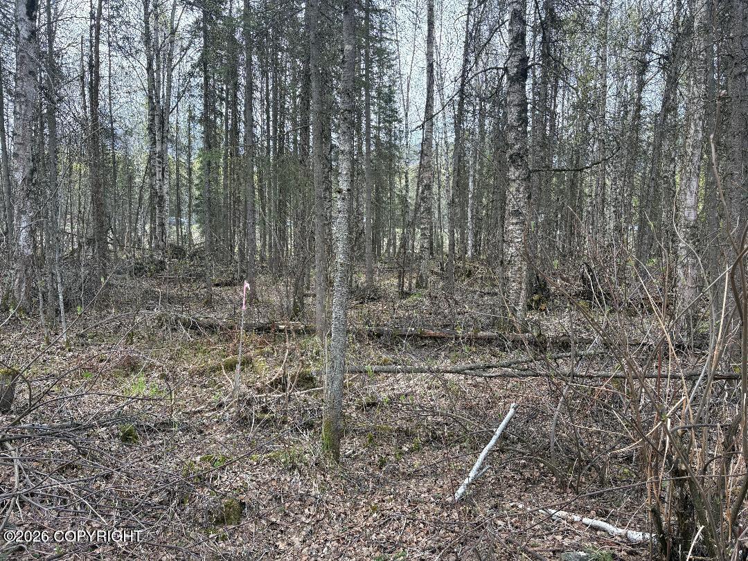 L144 White Birch Road Property Photo 2