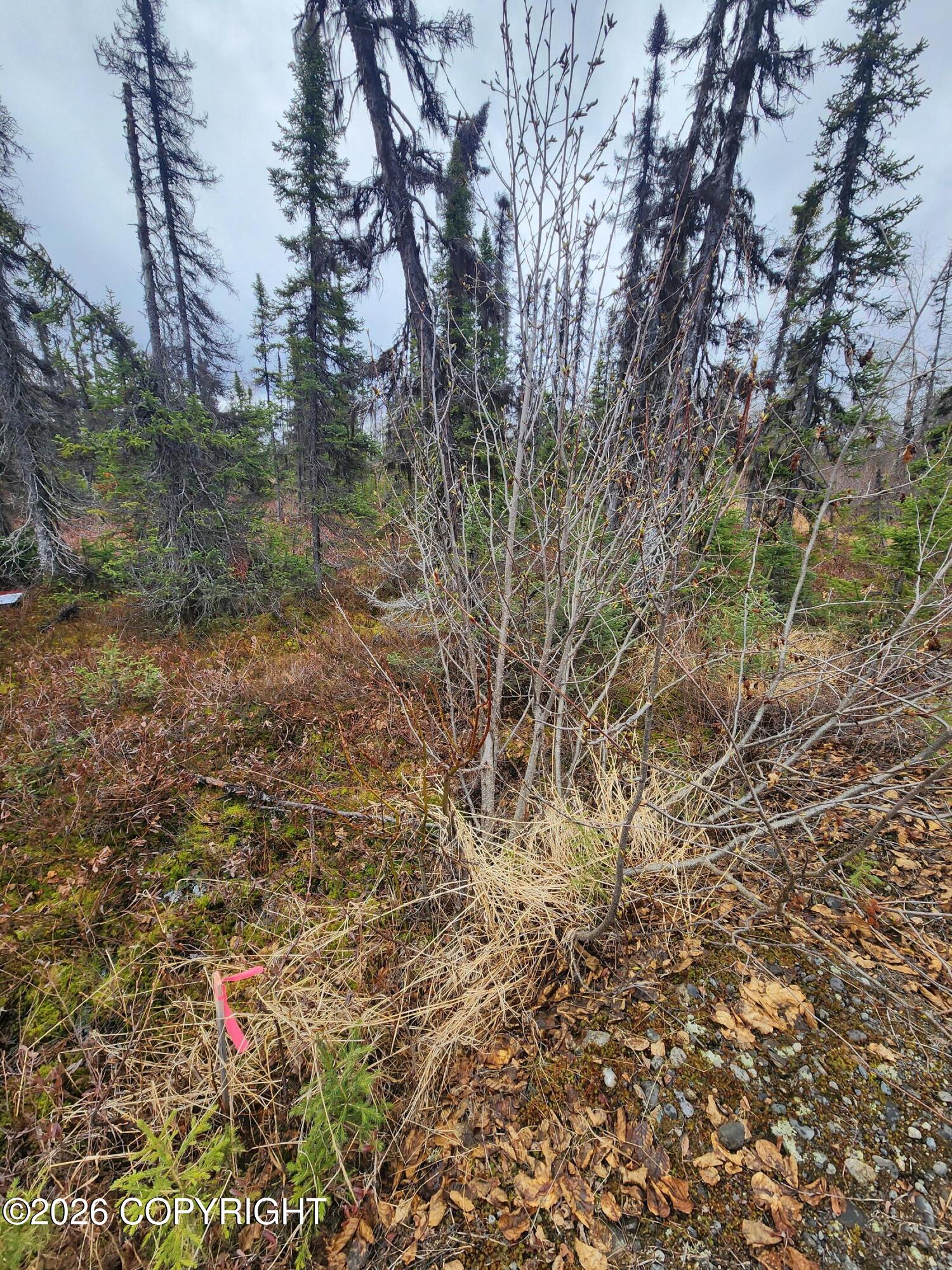 Lot 3 Lone Wolf Property Photo 9