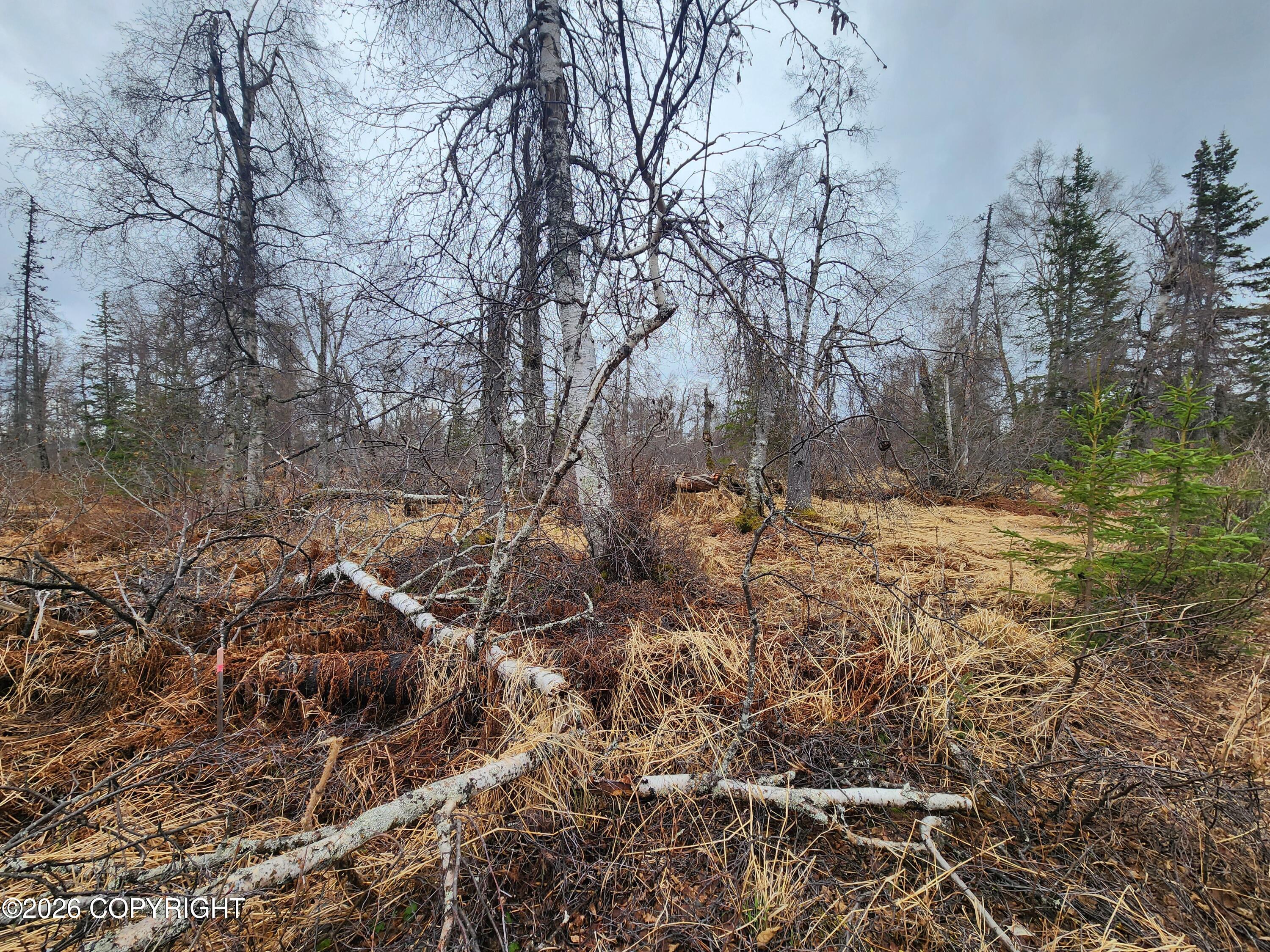 2465 Petersville Road Property Photo 4