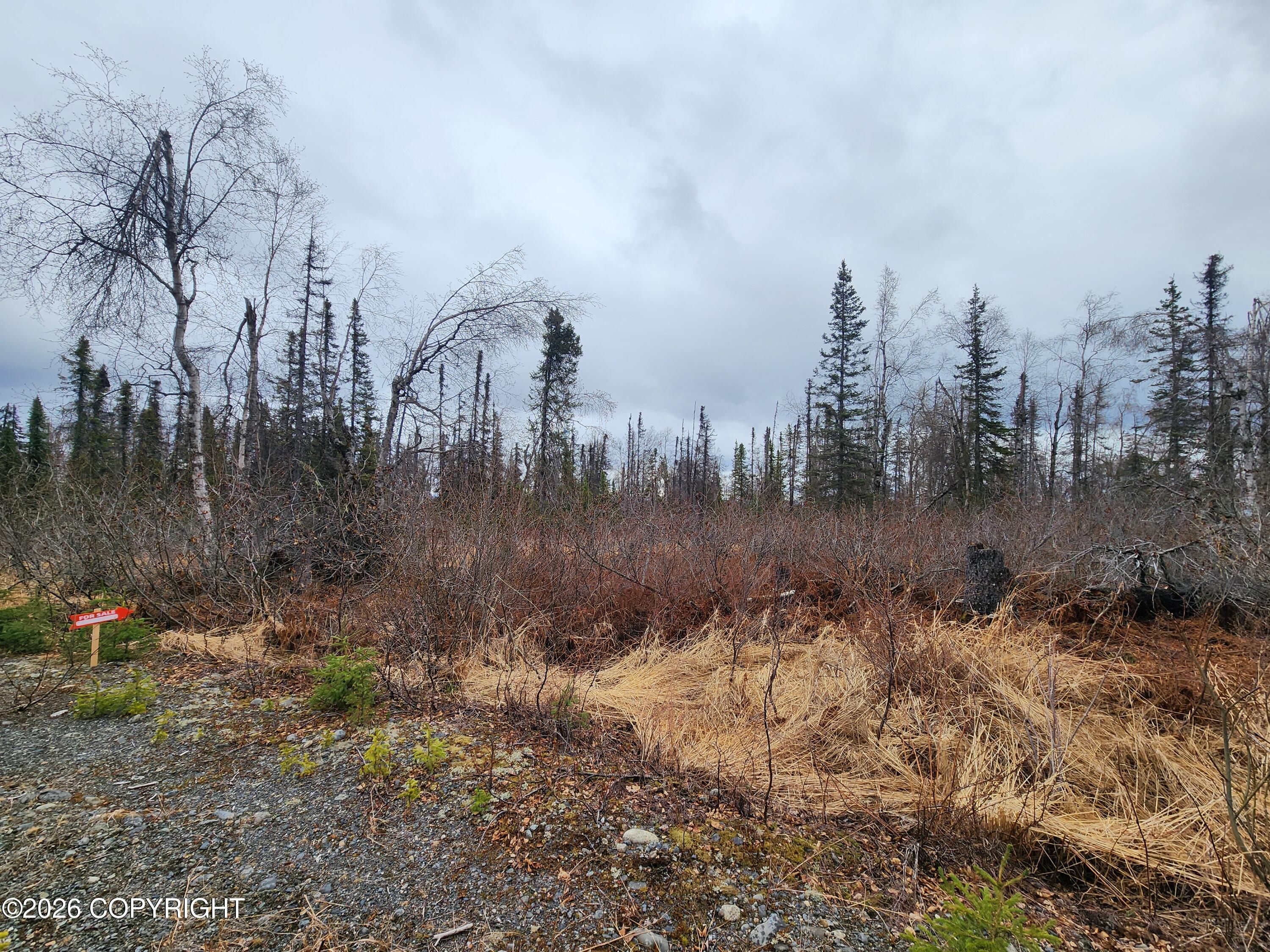 2465 Petersville Road Property Photo 7