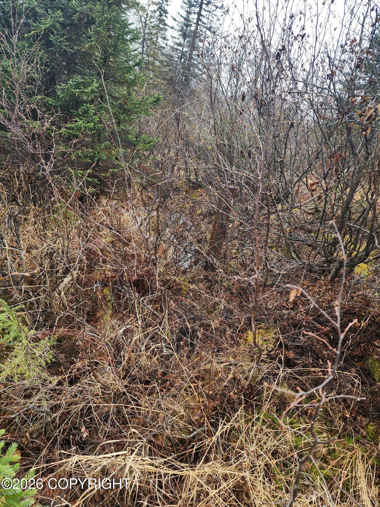 2465 Petersville Road Property Photo 8
