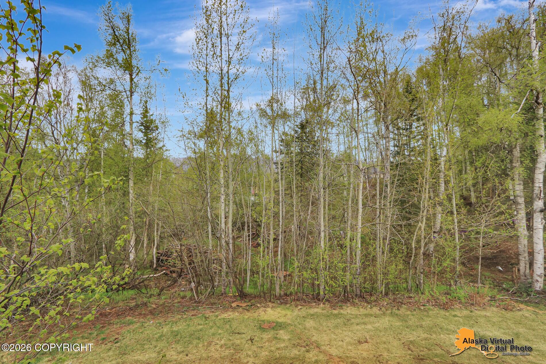 2804 W Discovery Loop Property Photo 77