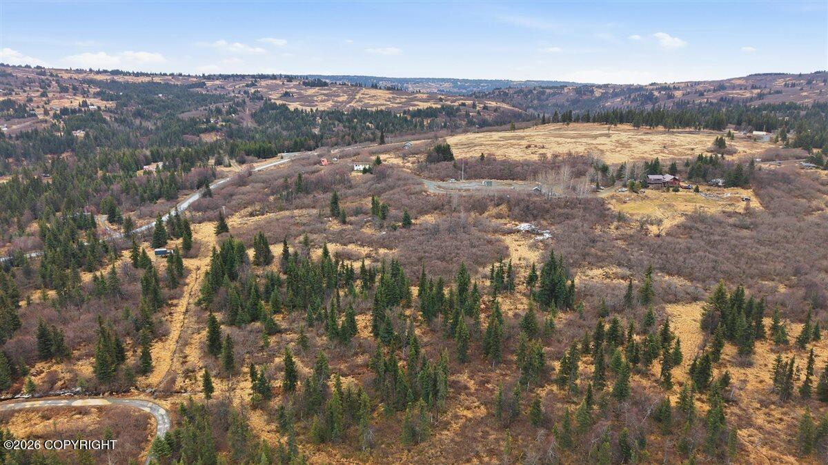 65251 Wagon Road Property Photo 4