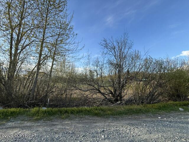 15221 E Nina Road Property Photo 3