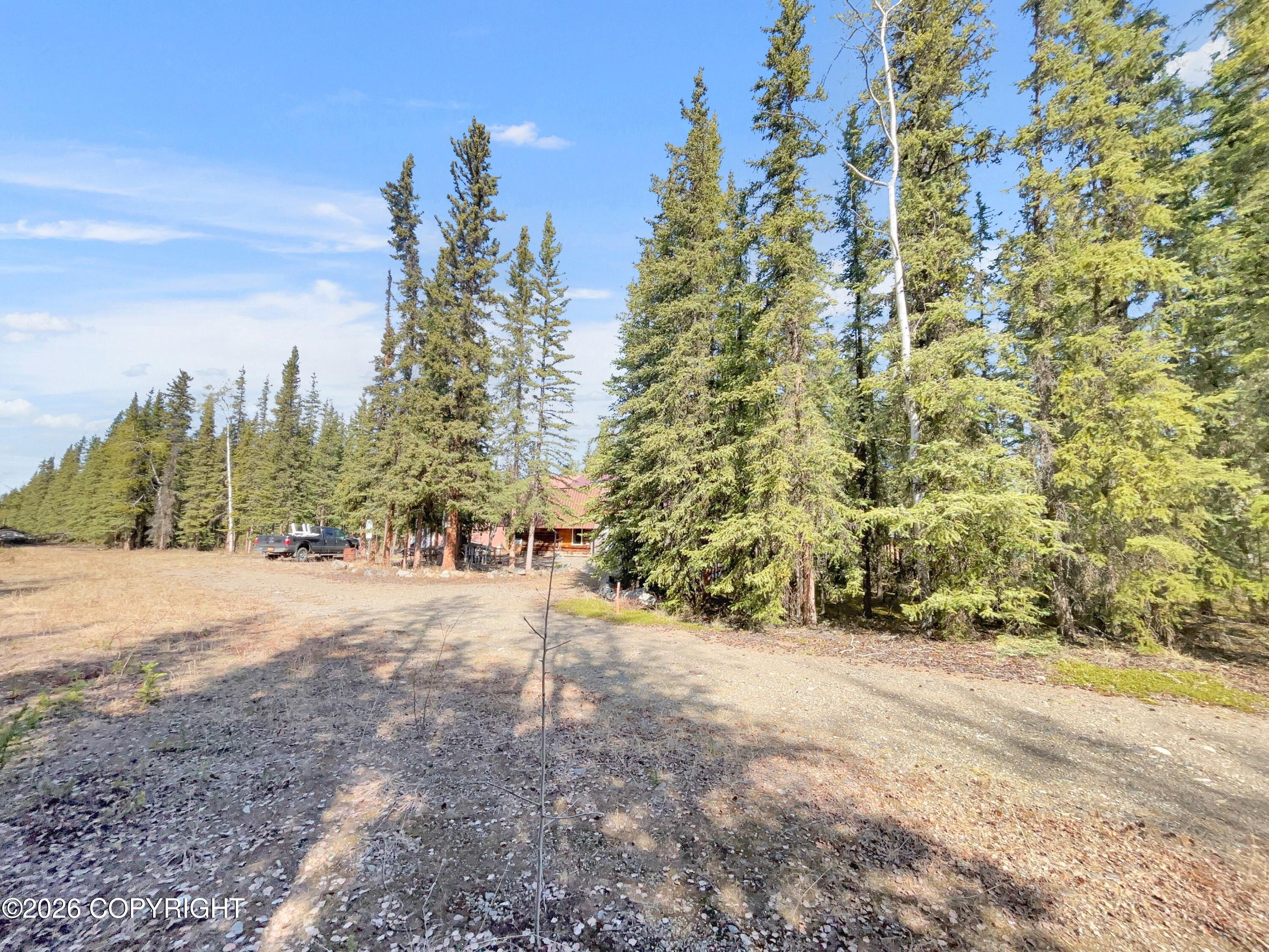 1318.5 Alaska Highway Property Photo 13
