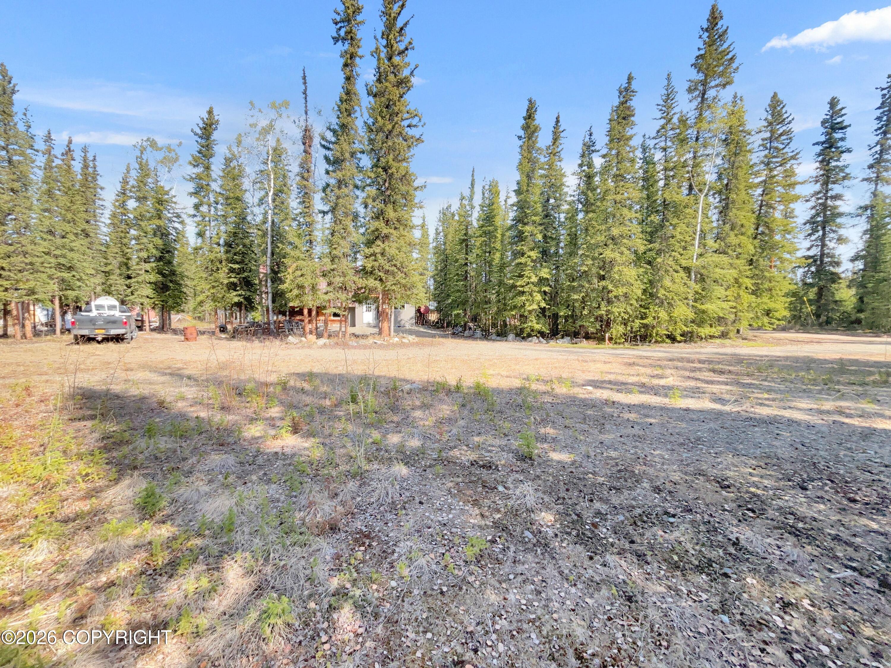 1318.5 Alaska Highway Property Photo 14