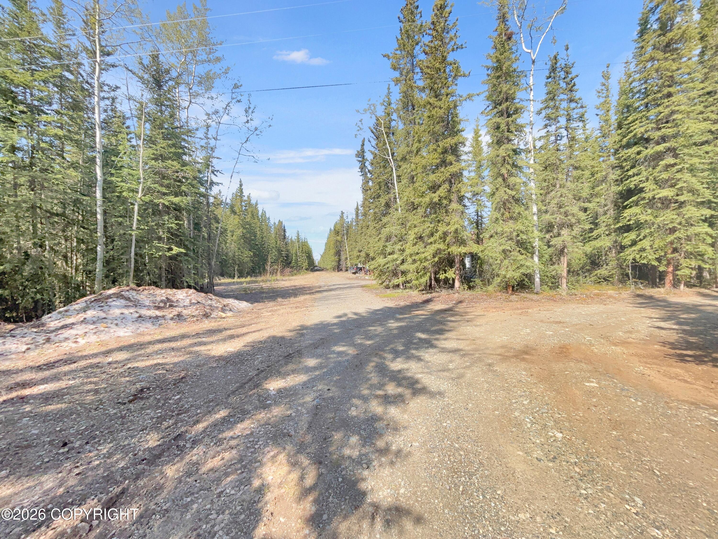 1318.5 Alaska Highway Property Photo 18