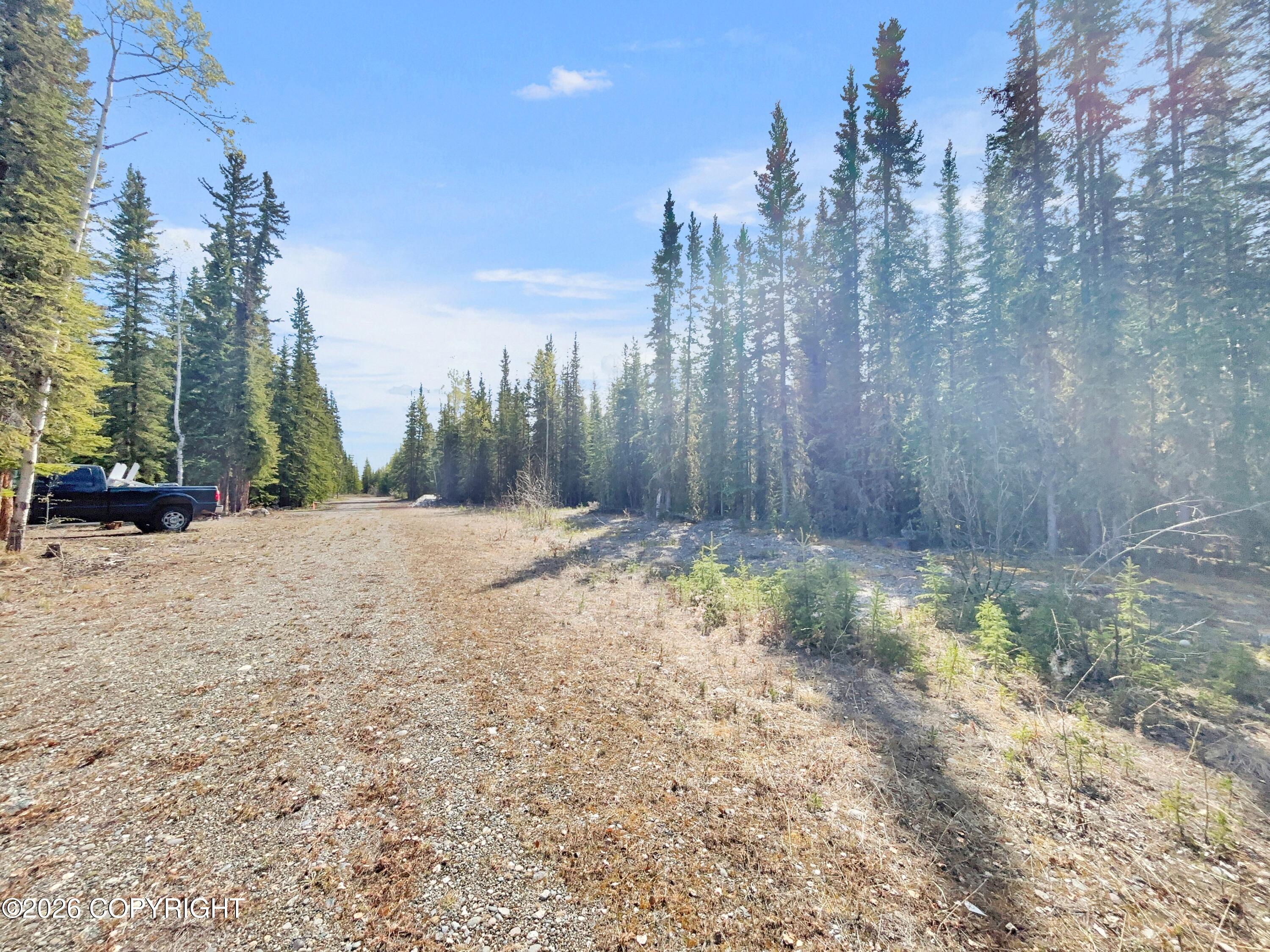 1318.5 Alaska Highway Property Photo 19