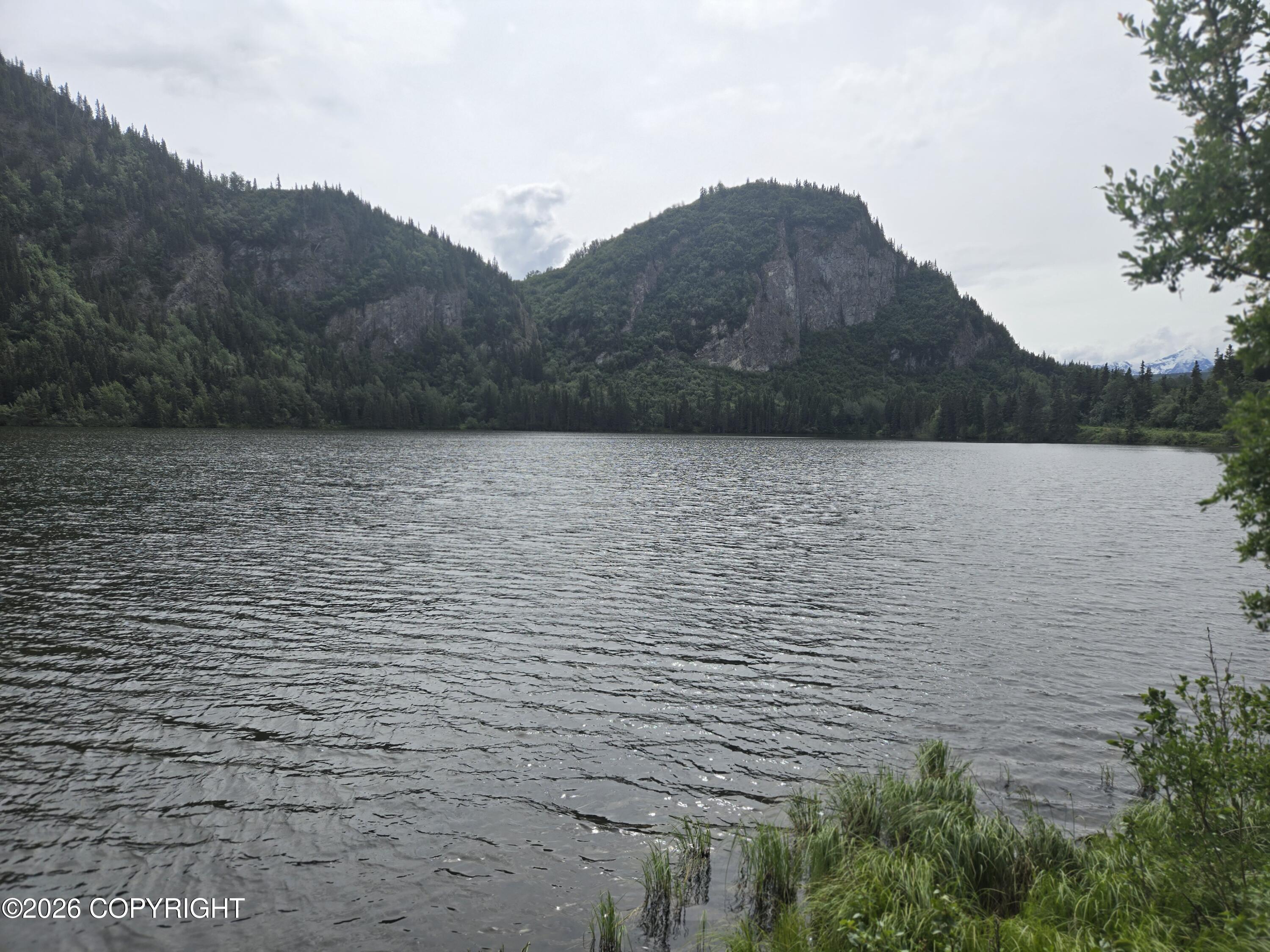 L22 B4 Willow Lake Property Photo 3