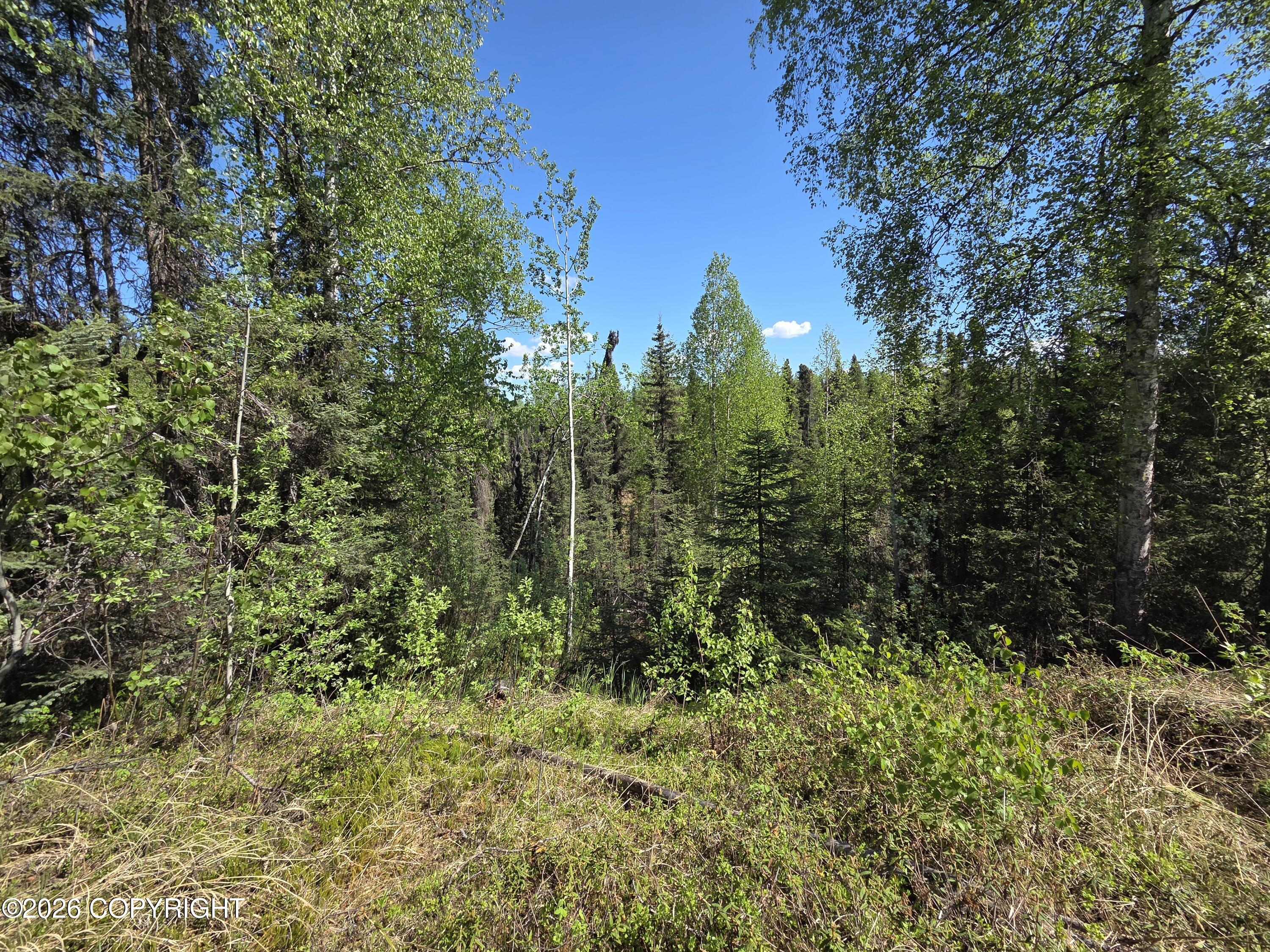 16457 E Sunshine Drive Property Photo 40