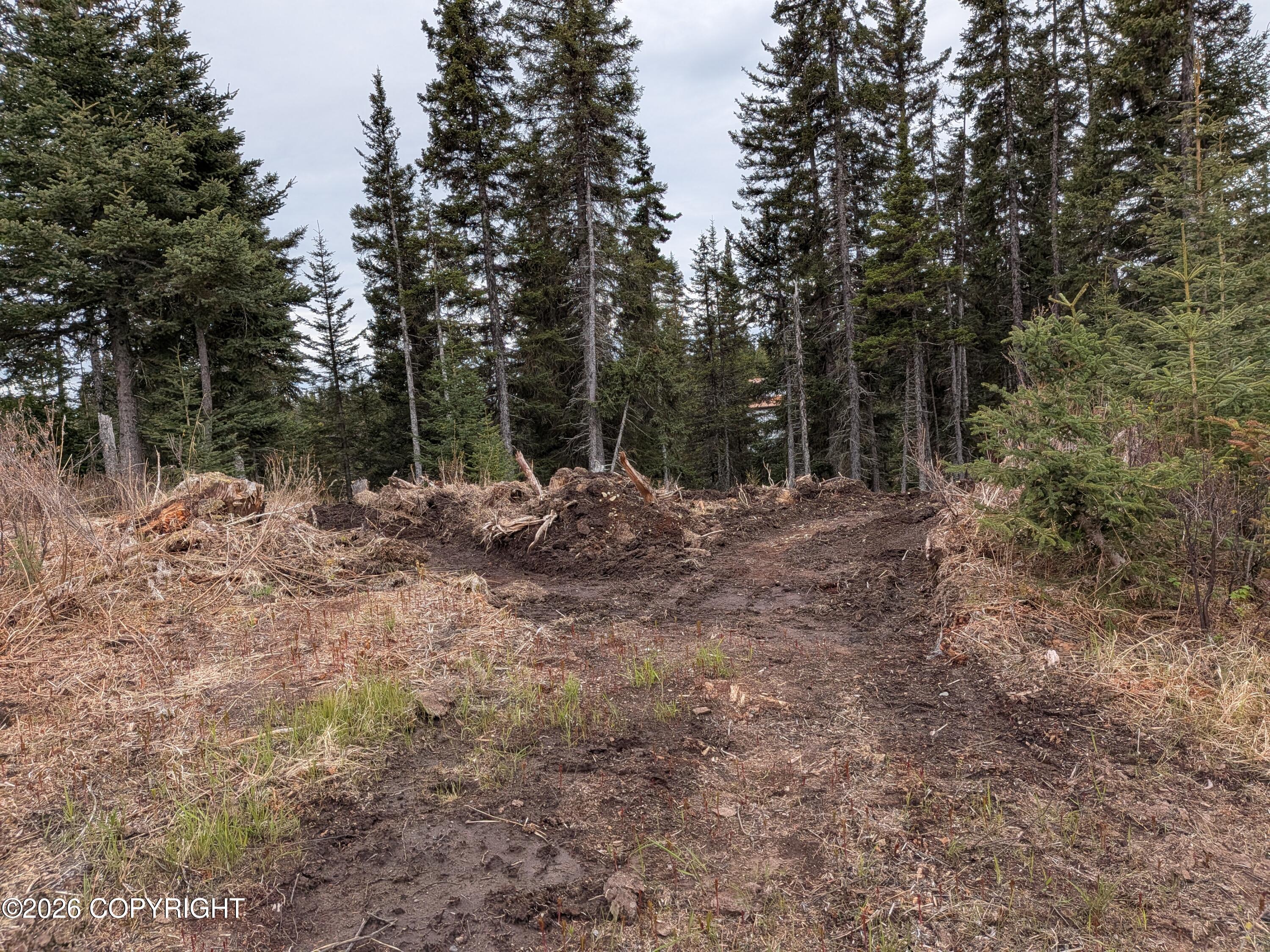 37200 Climbing Street Property Photo 77