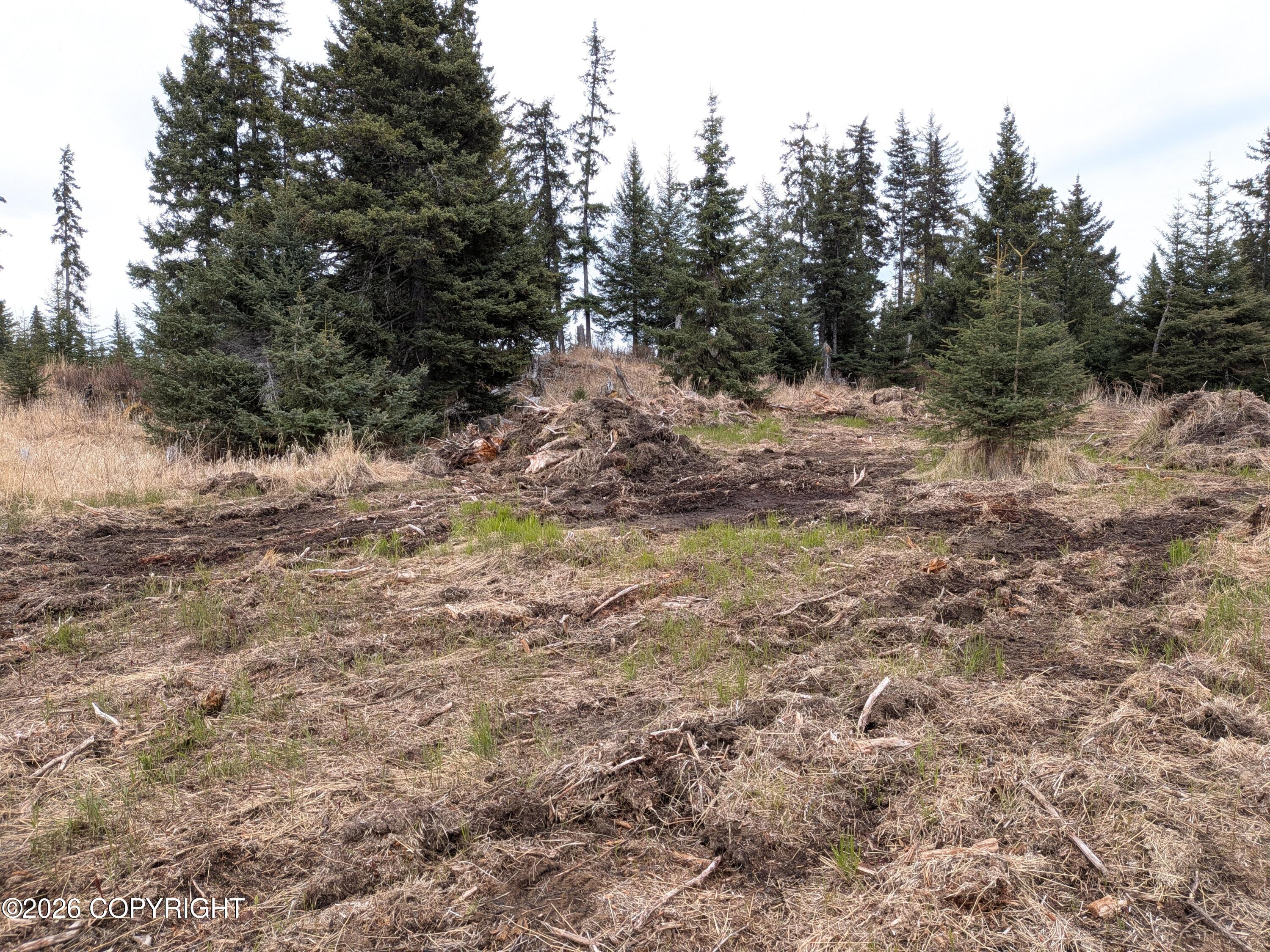 37200 Climbing Street Property Photo 79