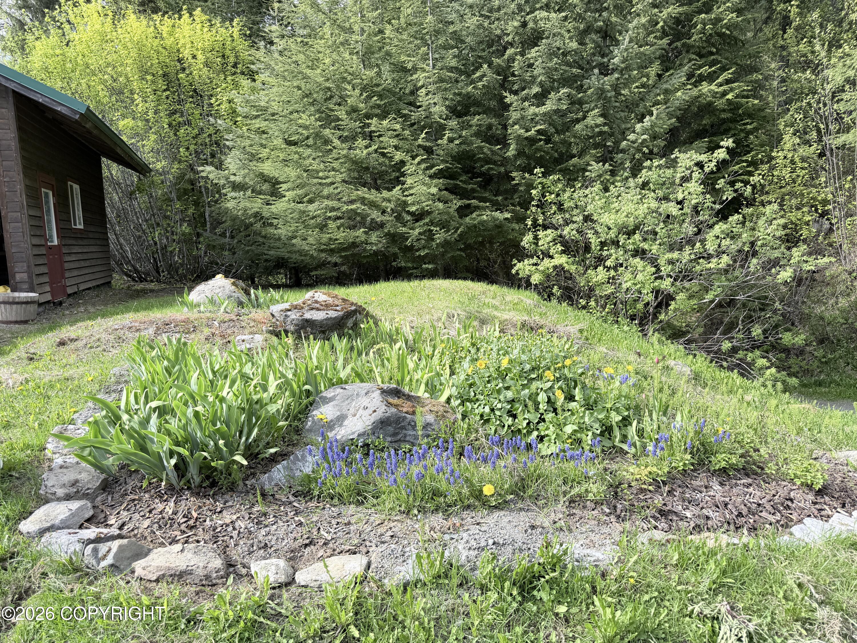 26814 Haines Highway Property Photo 7