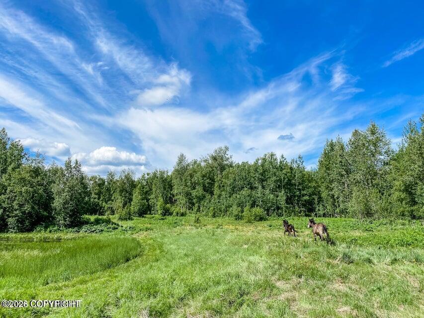 5800 N Cunningham Road Property Photo 4