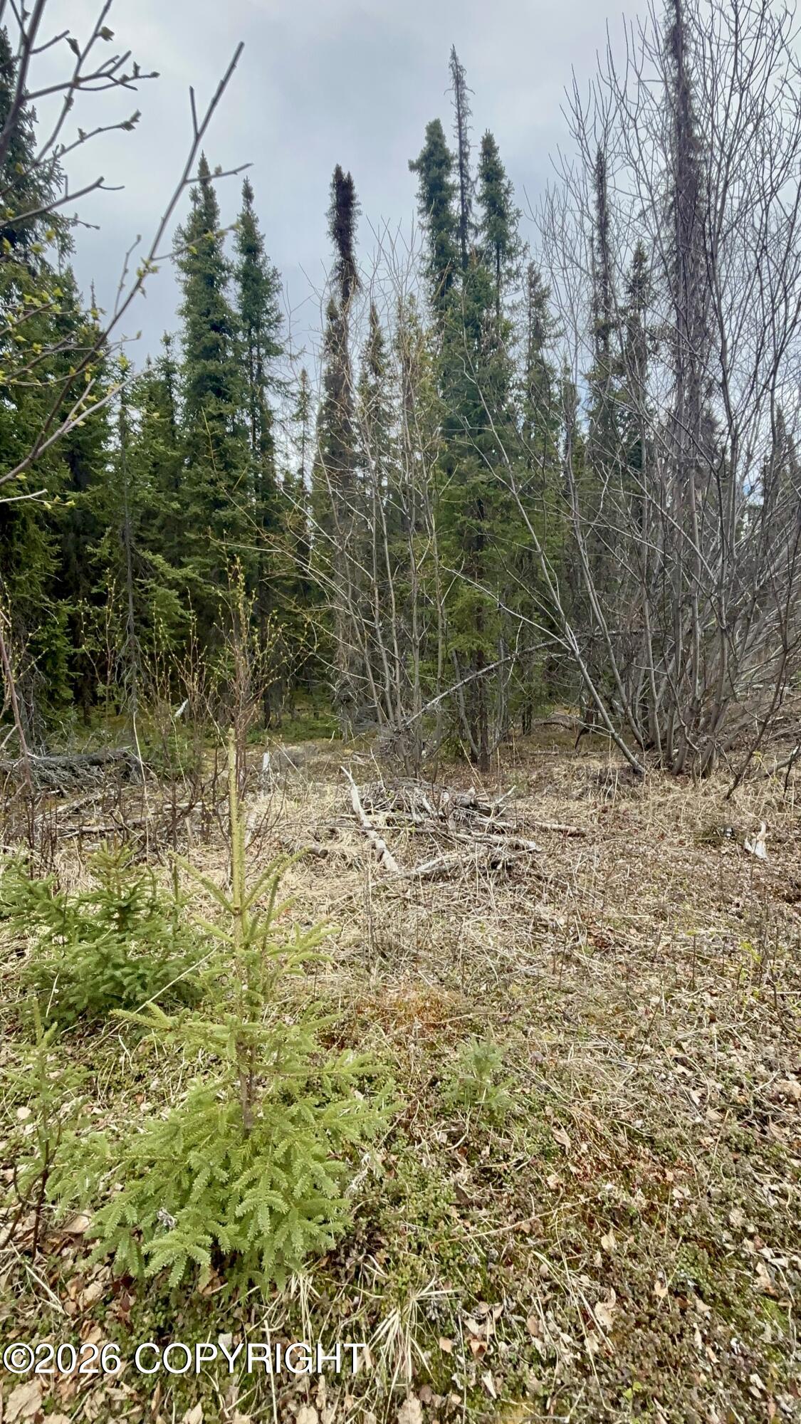 000 Lake Road Property Photo 8