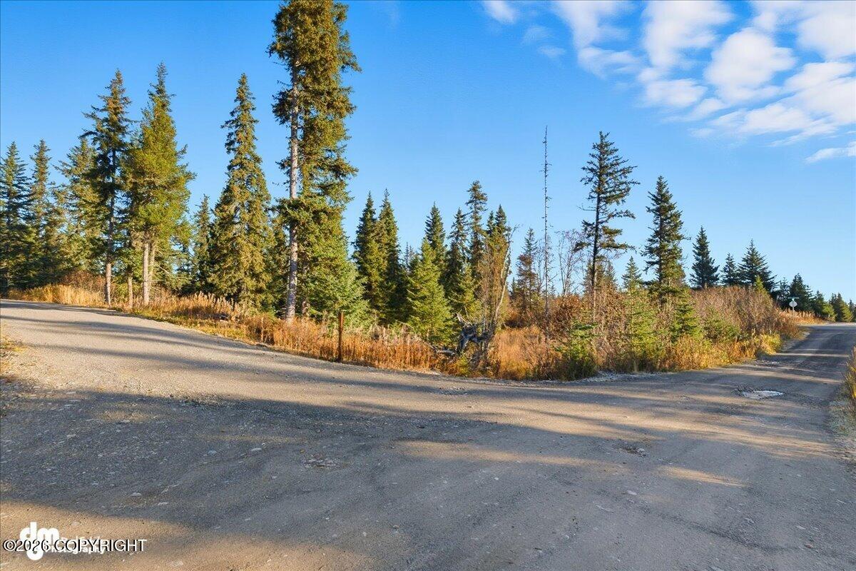 69288 Melody Way Property Photo 92