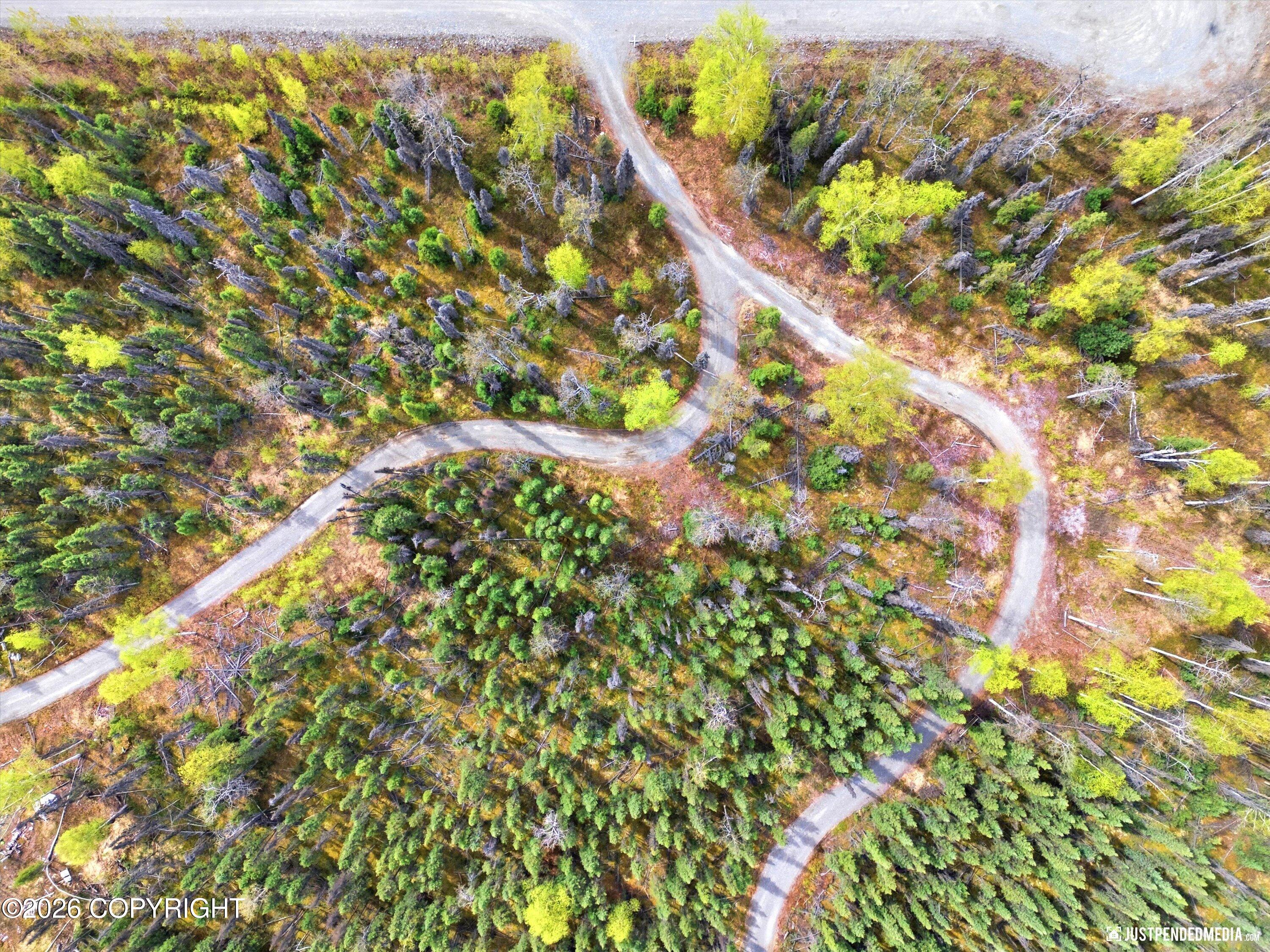 68641 S Denali Vista Drive Property Photo 60