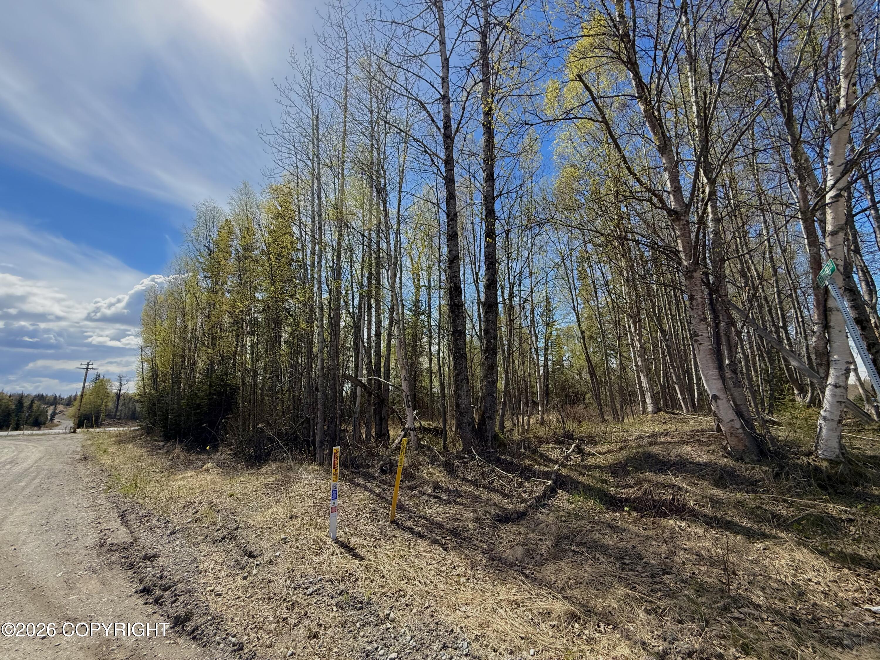 002 Kenai Spur Highway Property Photo 5