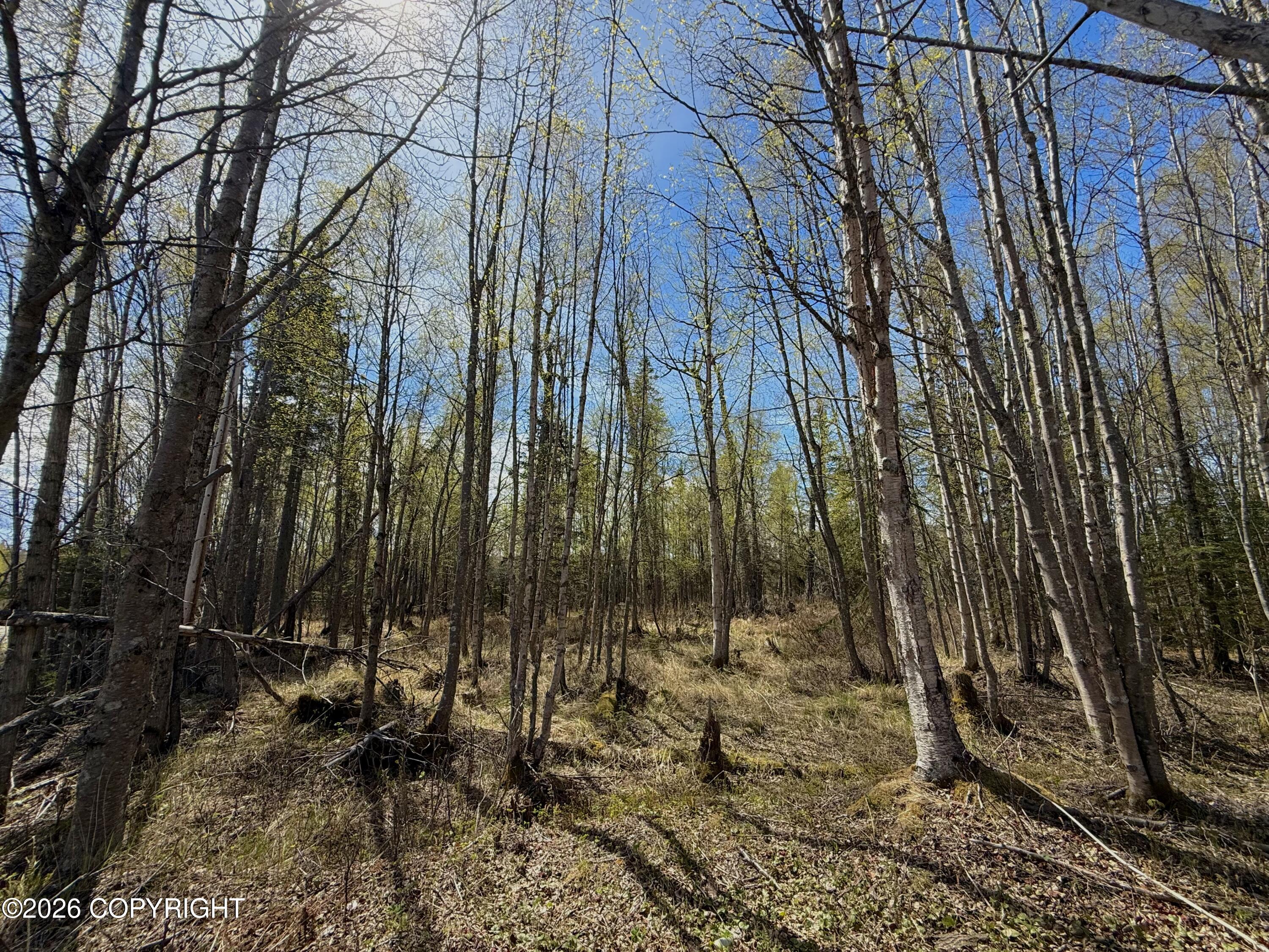 002 Kenai Spur Highway Property Photo 6
